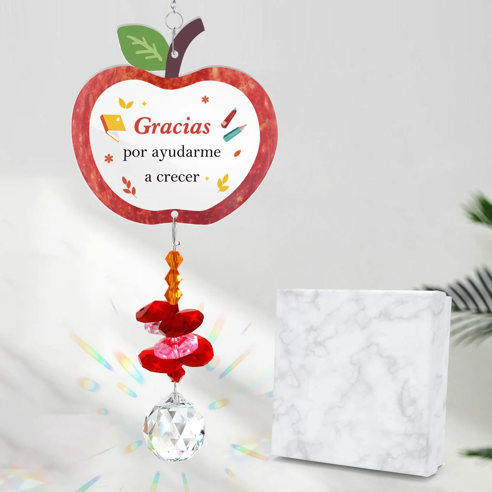 Regalo para Profesora Atrapasoles Regalo Profe Maestra Cumpleaños Regalos Profesora Primaria Guarderia Ideas Regalos Profesor de Infantil Originales Fin de Curso Navidad Reyes San Valentín