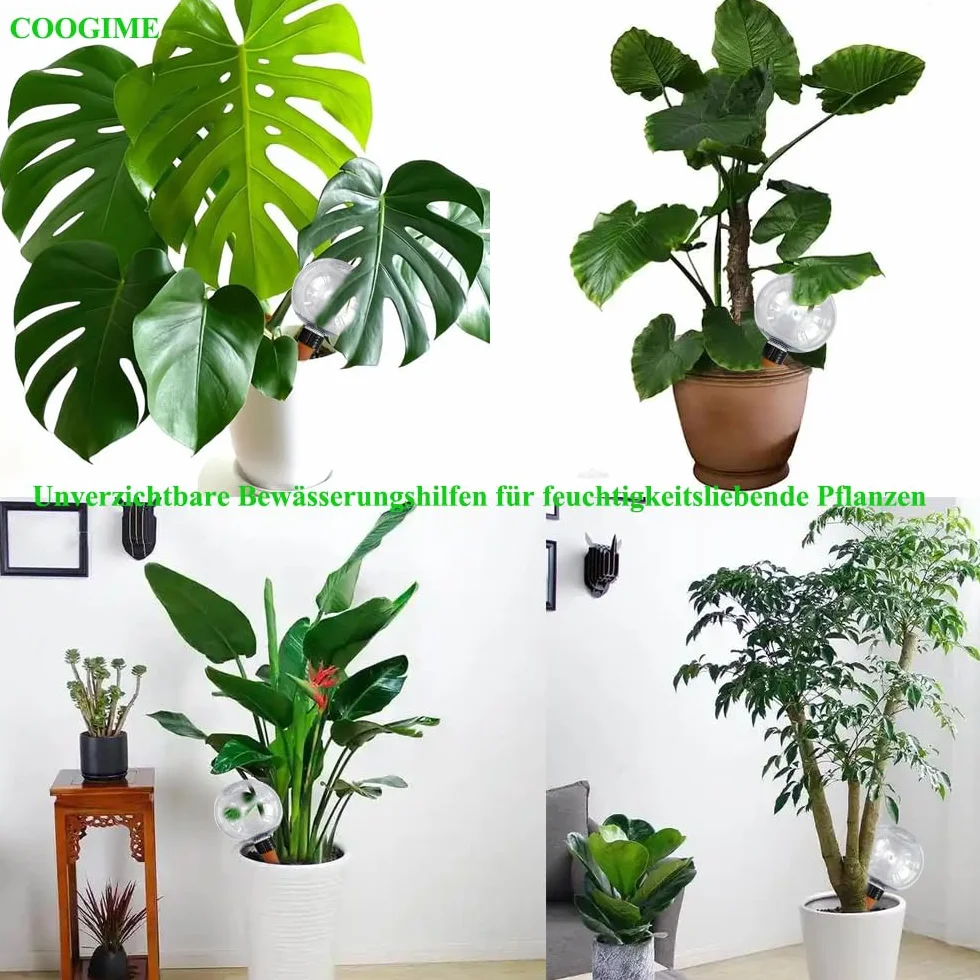 Bola de riego 500ml, Regador automático de plantas en forma de bola, dispensador de agua transparente - Riego por goteo inteligente para vacaciones, oficina y jardineros perezosos (2)