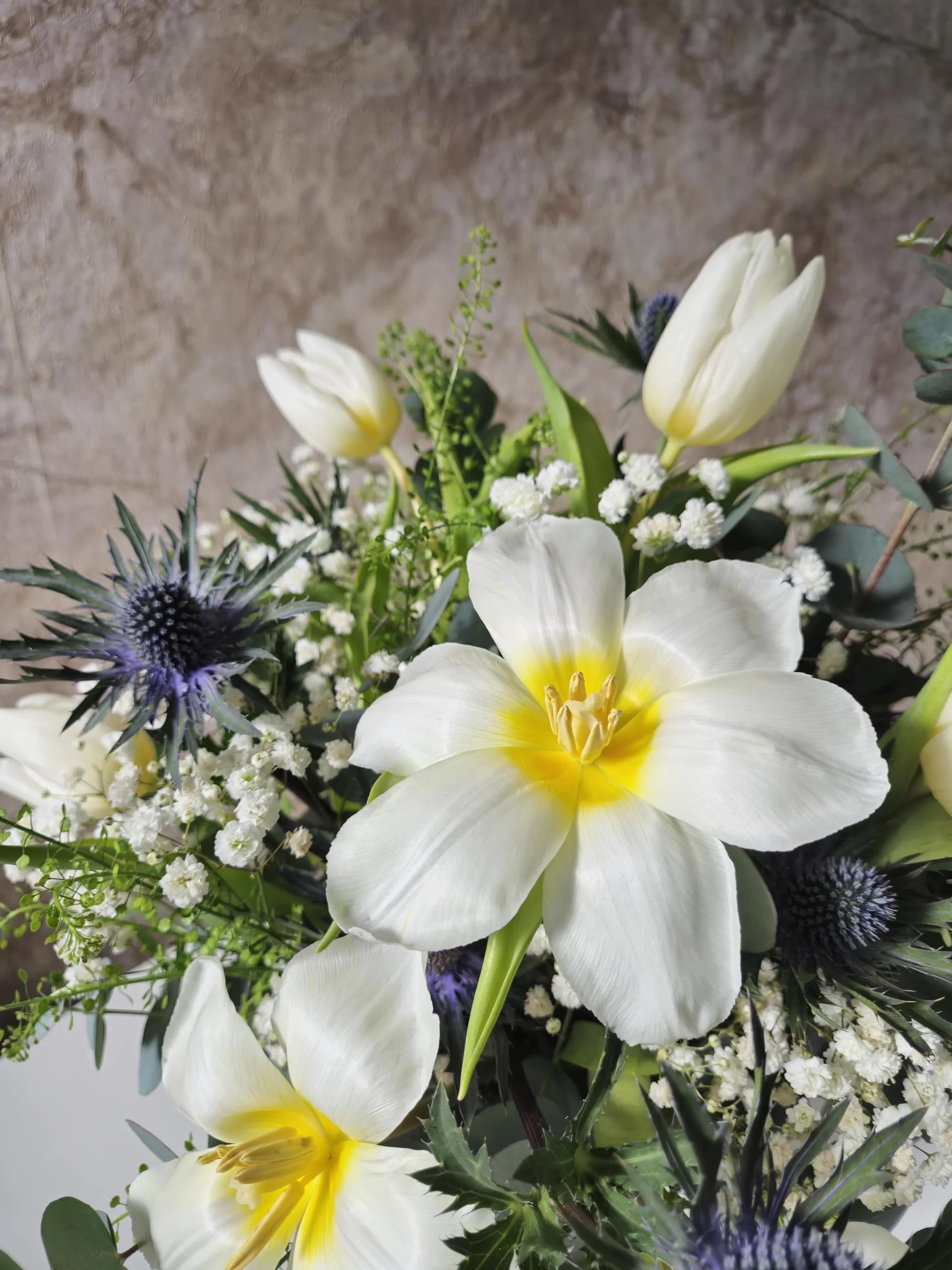 FLORES SOLIDARIAS - Ramo De Tulipanes Naturales - Ramo De Flores - Tulipanes con Cardo - Ramos De Flores Naturales A Domicilio - Regalos San Valentin - Envio 24H