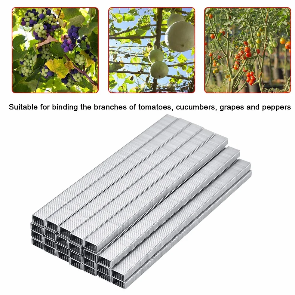 Grapas Atadora Grapadora Planta de Jardín Tape Tool 10000Pcs Grapadora de Uñas Grapa para Atar la Máquina Uña de Unión para Frutas Vegetales Vid Tomate Carpeta Rama Enlace Clavo