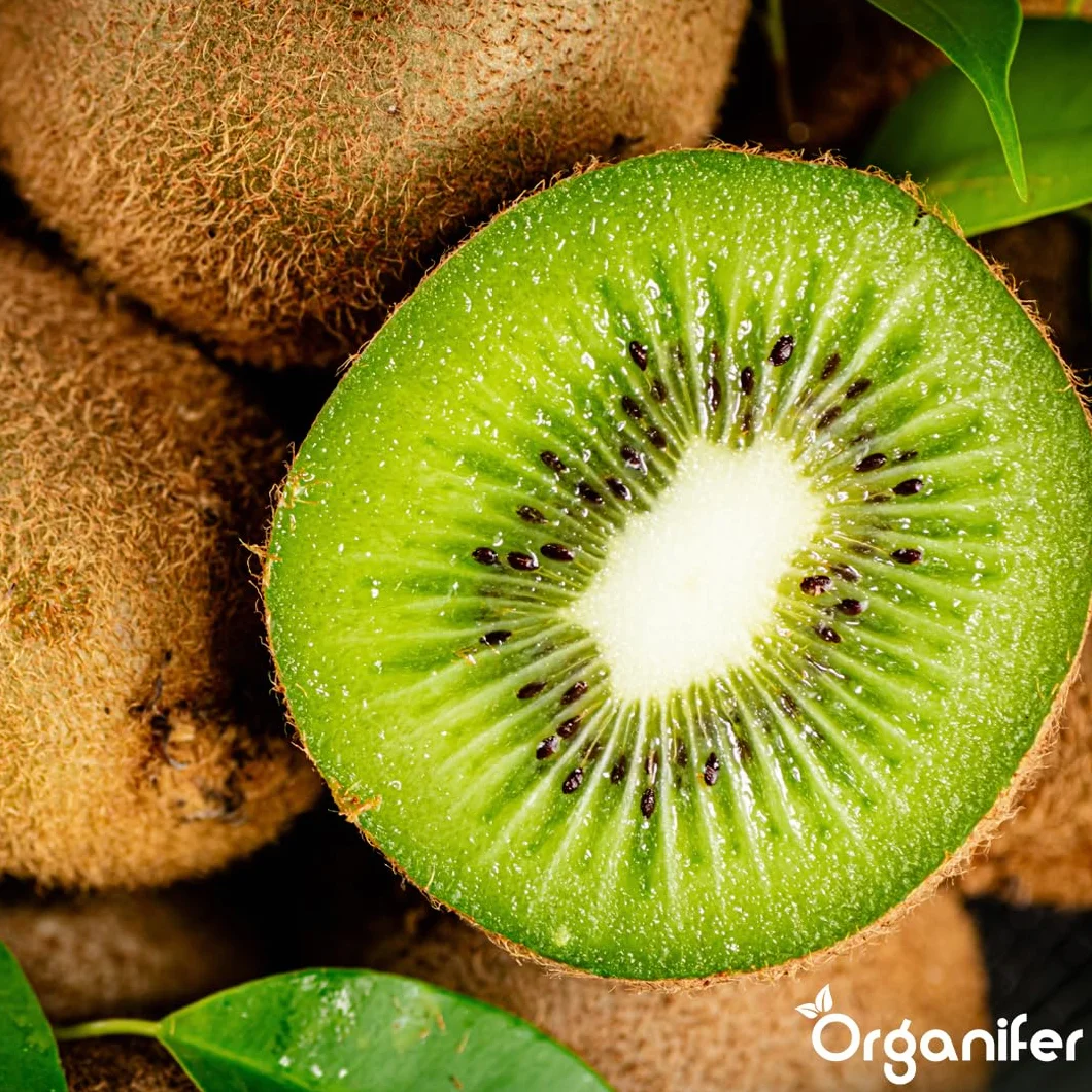 Fertilizante Líquido Orgánico 2x1L Para Kiwi – Favorece Hojas Lujosas Y Frutas Saludables – Organifer