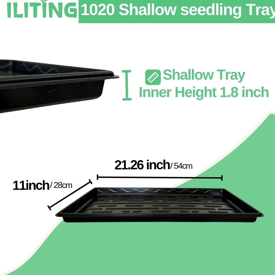 Bandejas de semillero poco profundas 1020 para vivero, fondo poco profundo (altura) de 1.2 pulgadas para germinación de semillas y germinación de plantas, bandejas microverdes sin agujeros