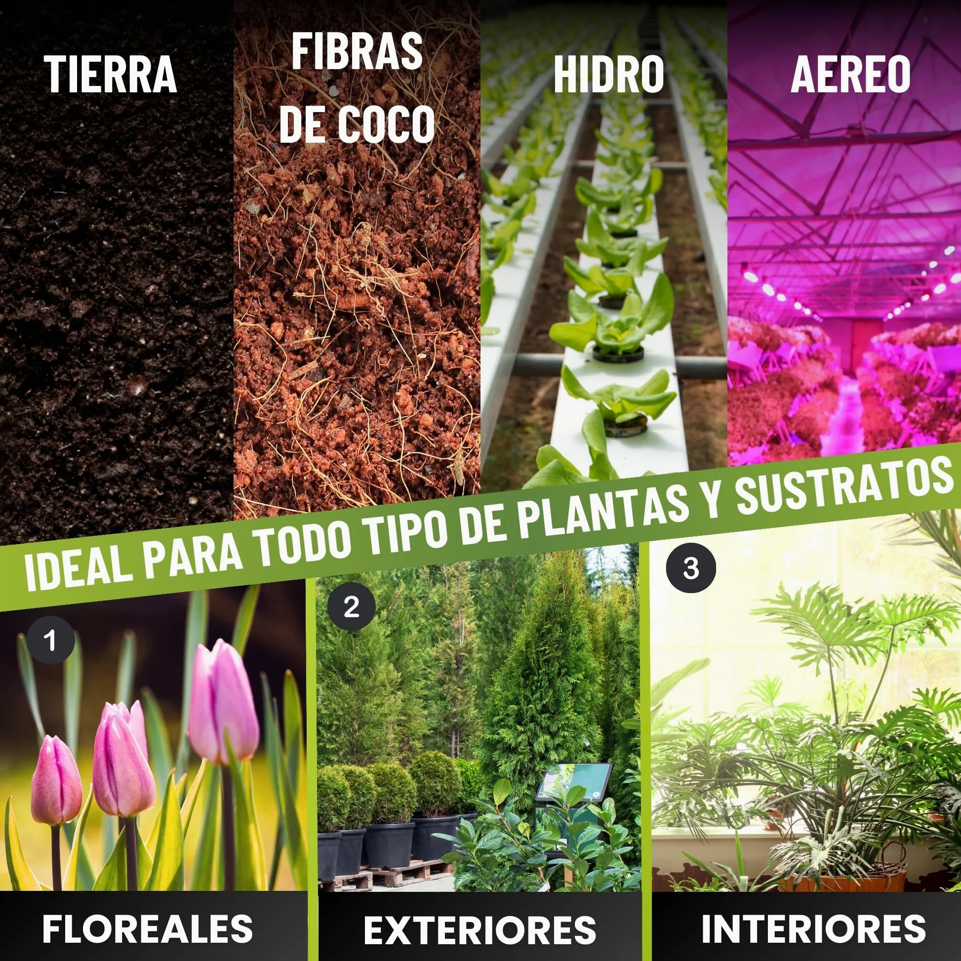 MADAME GROW abono plantas - fertilizante plantas - abono plantas verdes - fertilizante plantas verdes - sustrato plantas verdes - abono para plantas - fertilizante universal (GROWTH ACCELERATOR 1L)