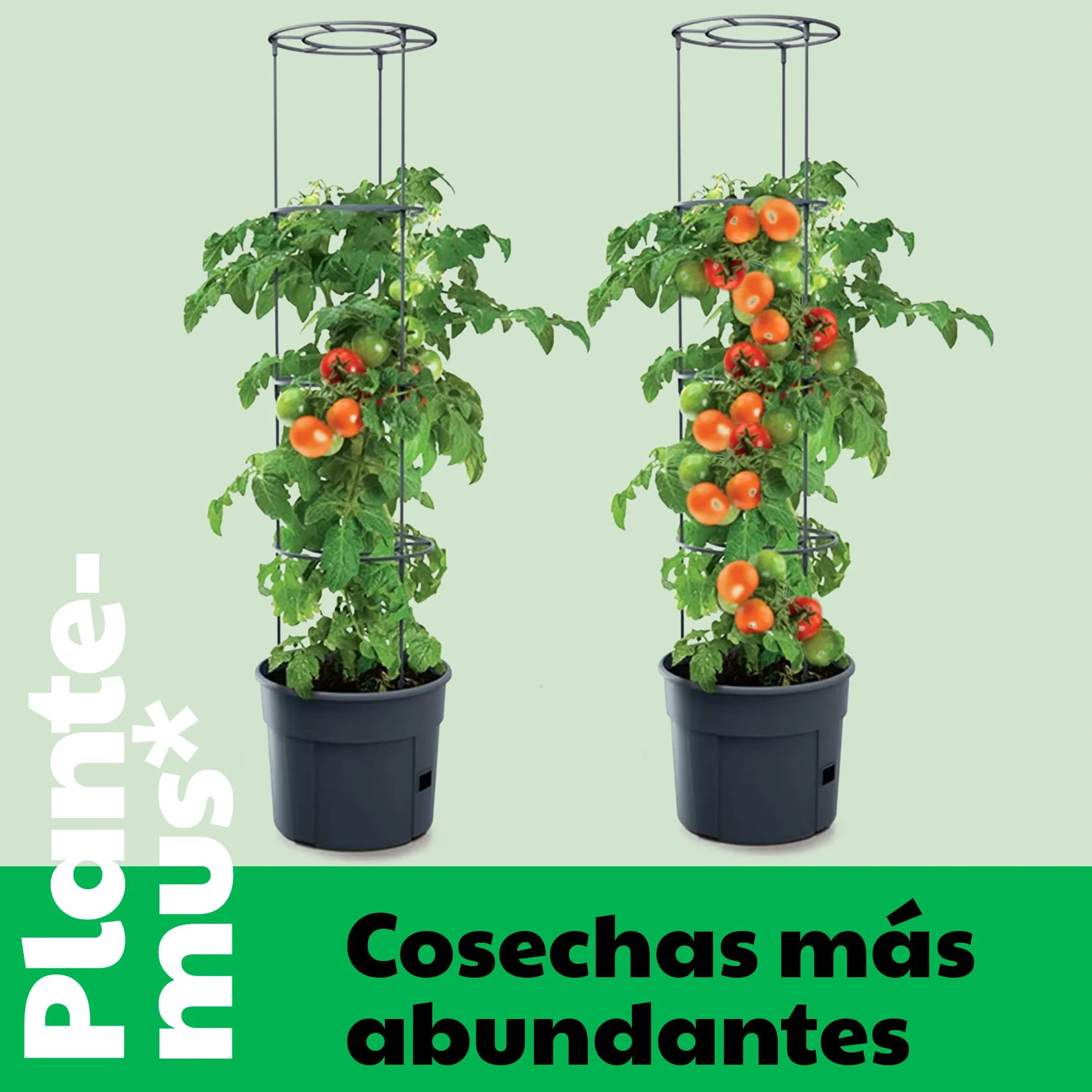 PLANTEMUS Abono Huerto para Tomates, Pimientos, Fresas, Hortalizas, Verduras. Fertilizante Granulado Azul para Cosechas Abundantes (Huerto BiOrganic 1L)