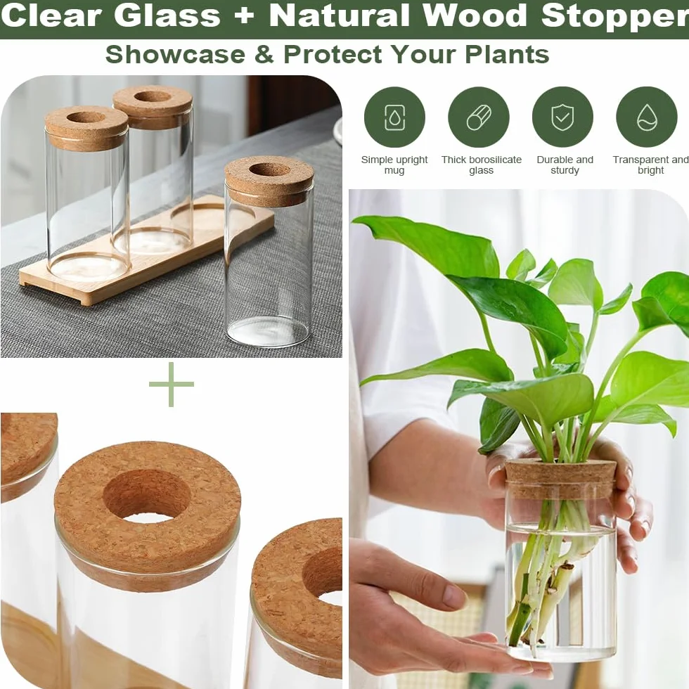 Estación de Propagación de Plantas Jarrón Hidropónico Cristal Jarrón Cultivo Hidropónico Bandeja Vidrio para Cultivo Hidropónicas 3 Jarronita300ml Cristal Decorativas para Esquejes de Plantas