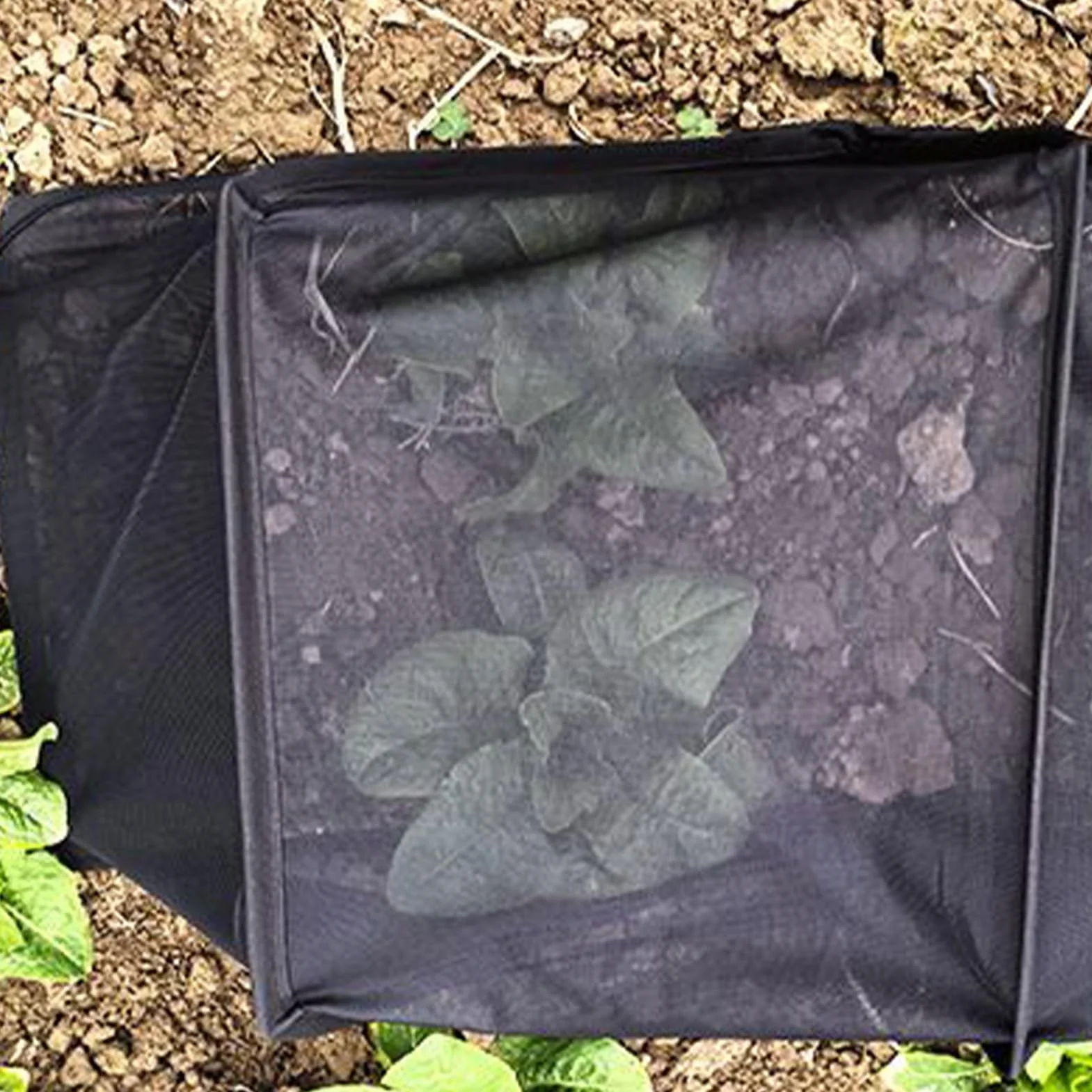 Cubierta para Huerto Elevado contra Animales - Malla Protectora para Semilleros | Malla Protectora de Plantas - para Agricultores Jardineros Cultivos Flores Patio Balcón Granja Invernadero y