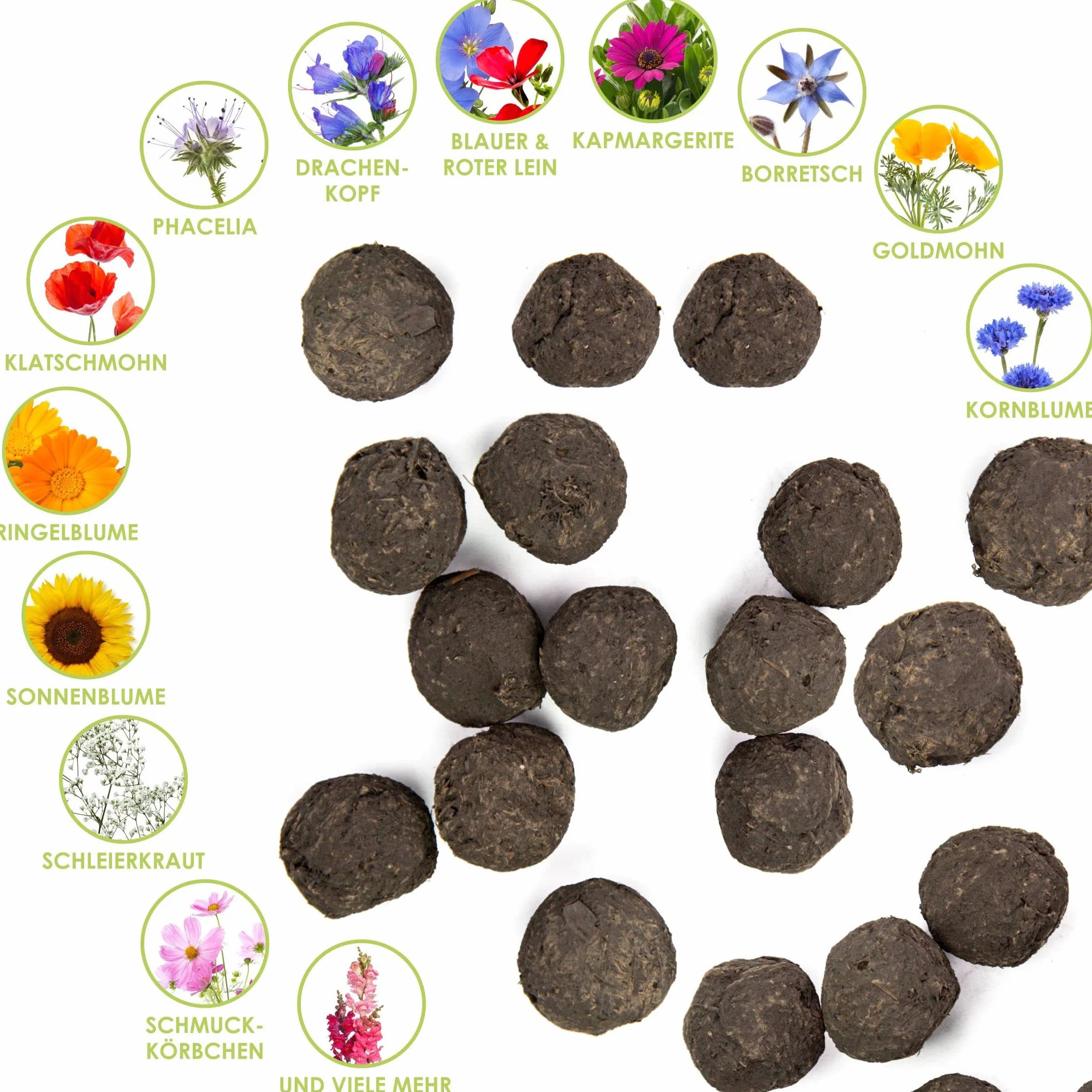 12x Bombas de semillas para un colorido pasto de abejas - Semillas de flores silvestres coloridas y ricas en néctar para abejas y mariposas