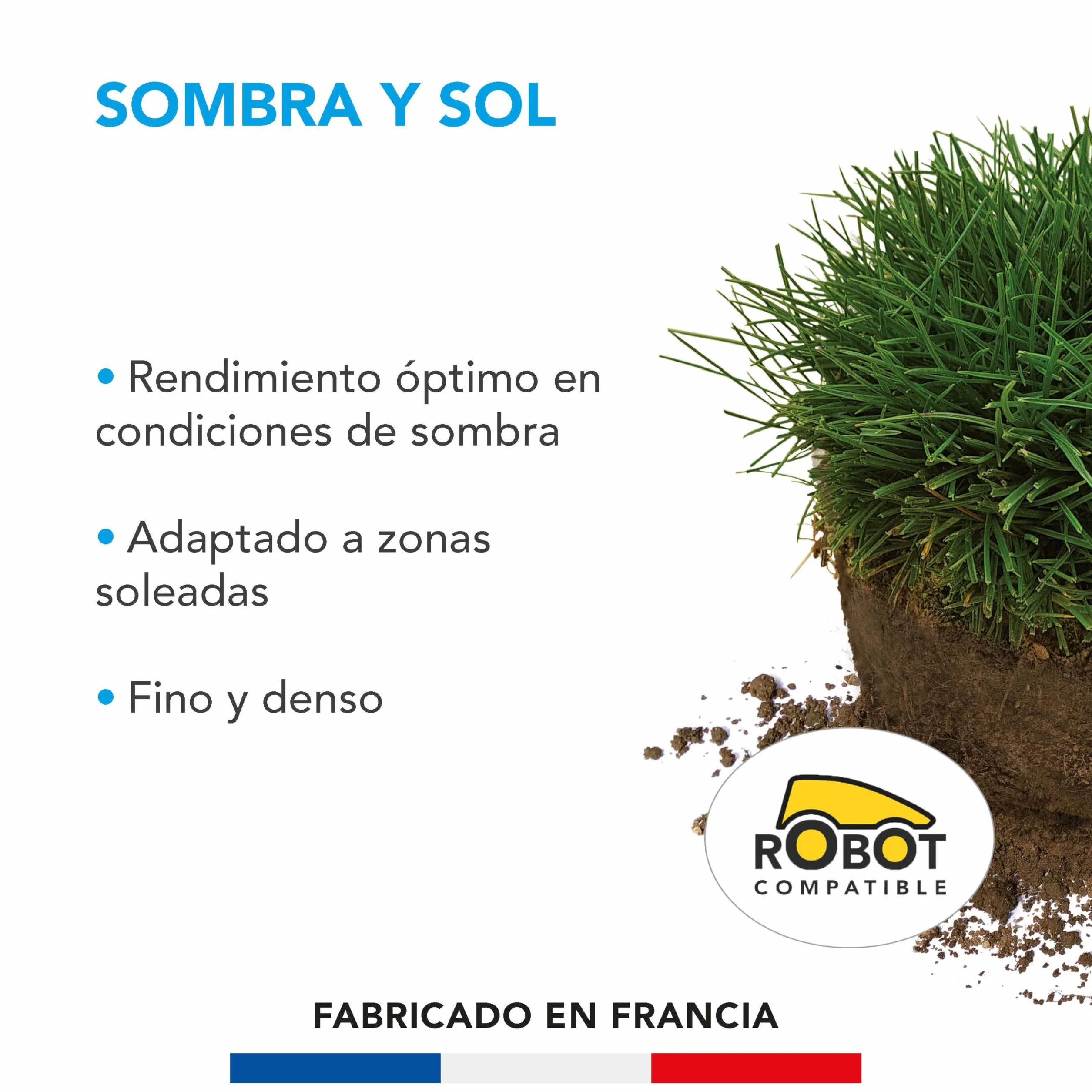 Barenbrug - Césped Sombra y Sol - Alto Rendimiento en Zonas Sombrías - Apto para Zonas Soleadas - Fino y Denso - Ideal para Reverdecir Pequeños Jardines Urbanos - Fabricado en Francia - 1 Kg