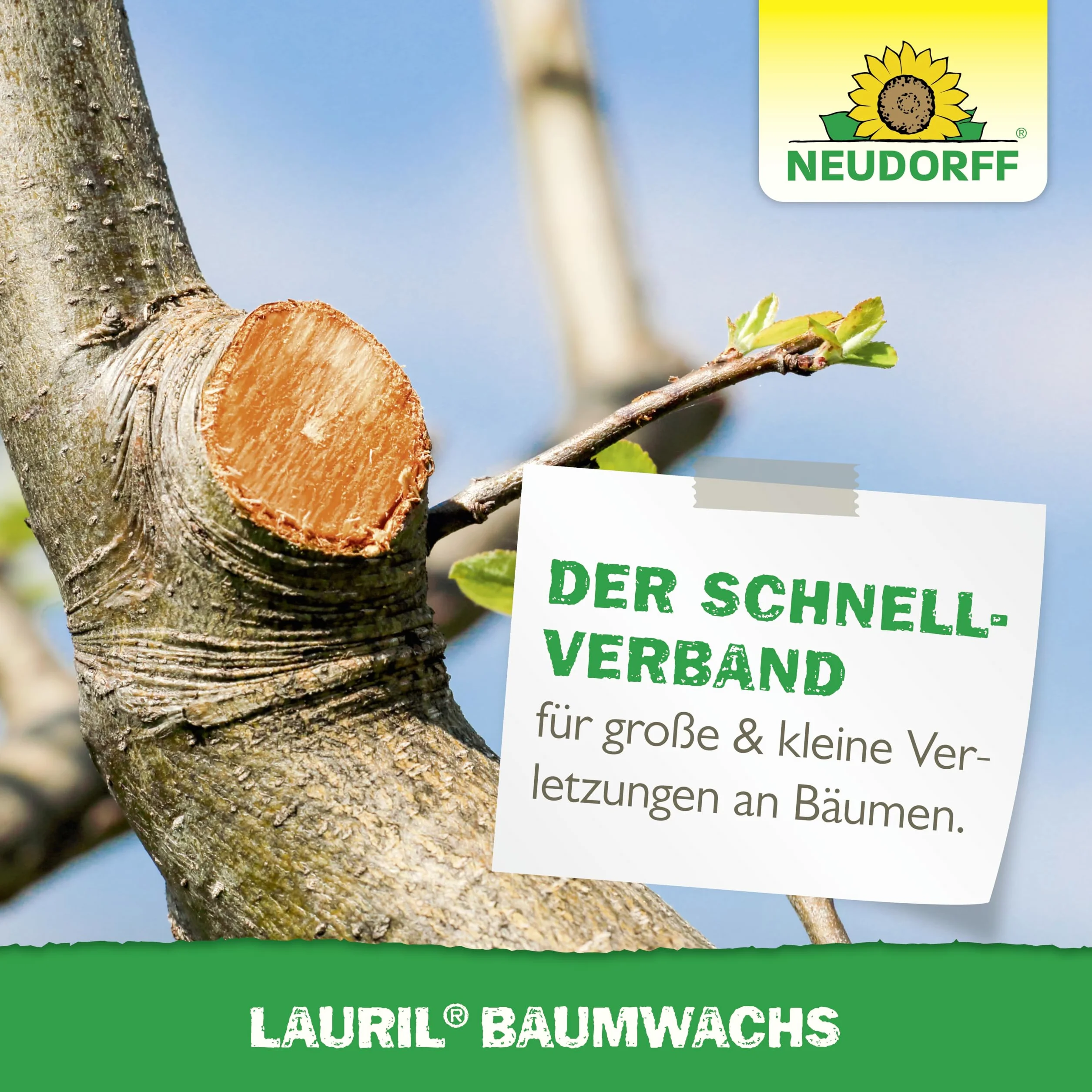 Neudorff Lauril - Cera para árboles lista para usar, cierre de herida para refinar y cicatrizar rápidamente las heridas de frutas y árboles ornamentales, 125 g