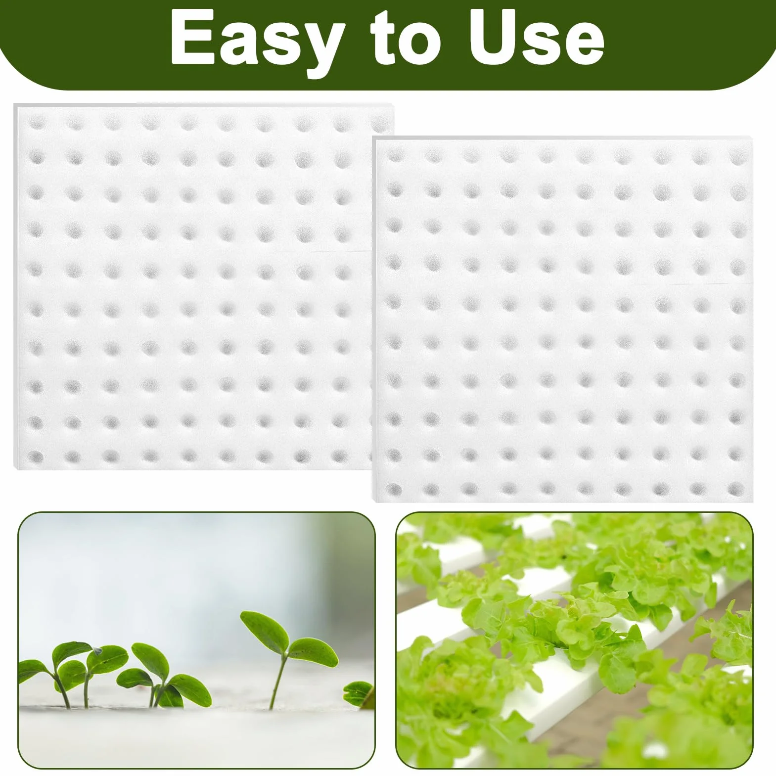 200 Piezas Esponja Hidropónica 25 * 25 * 25mm, Esponjas Plántulas Invernadero Plantar Herramientas de Jardinería Esponjas Cuadradas para Esquejes Agrícolas Siembra y Trasplante de Hortalizas(Blanco)