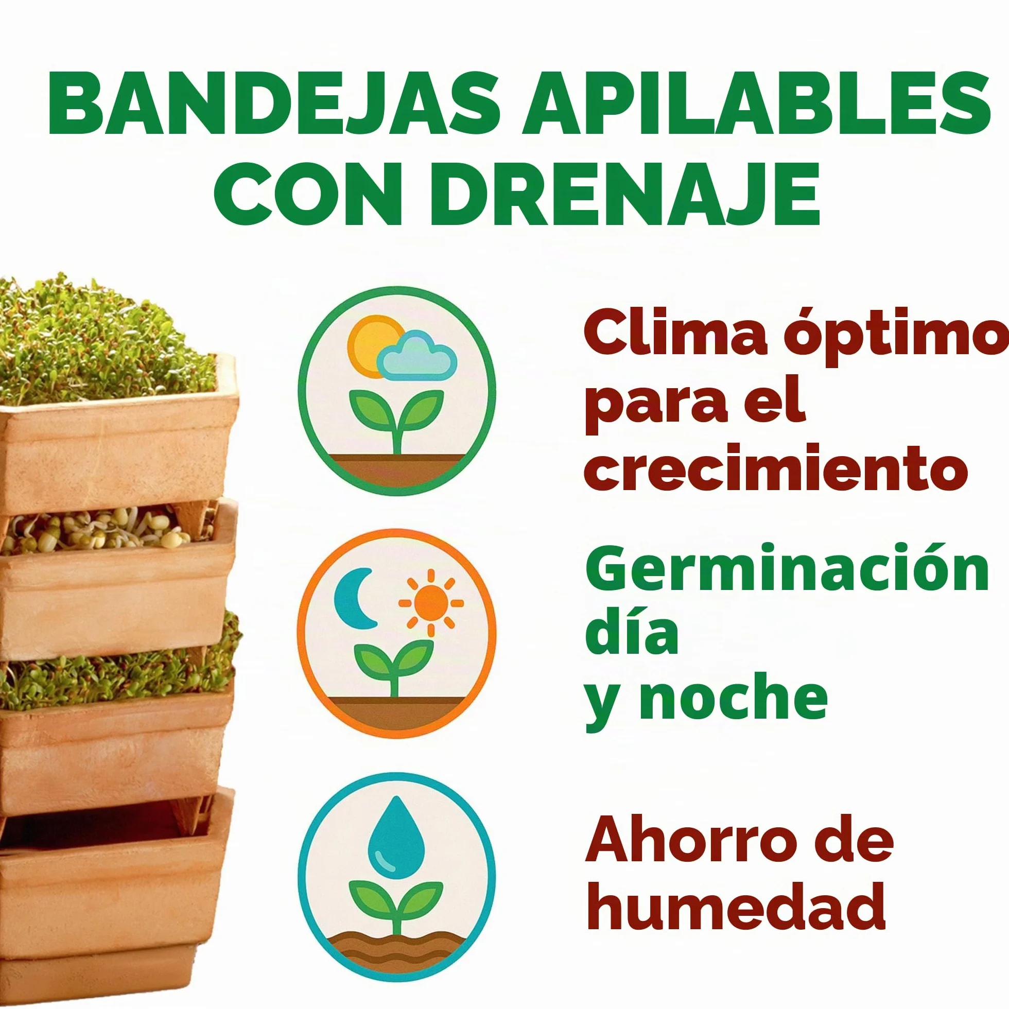 GEO - Germinador en barro, muy espaciosa para tener muchos brotes distintos