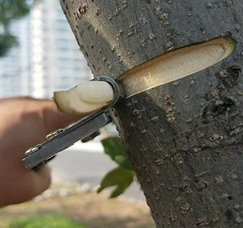 Tijeras de podar, Tijeras de seto, Tijeras de jardín, Huerto Cerezo Huerto Poda Uva Huertos Anillado Herramientas de jardín Corteza Anillo de anillado Tijeras Escariador Herramientas de poda