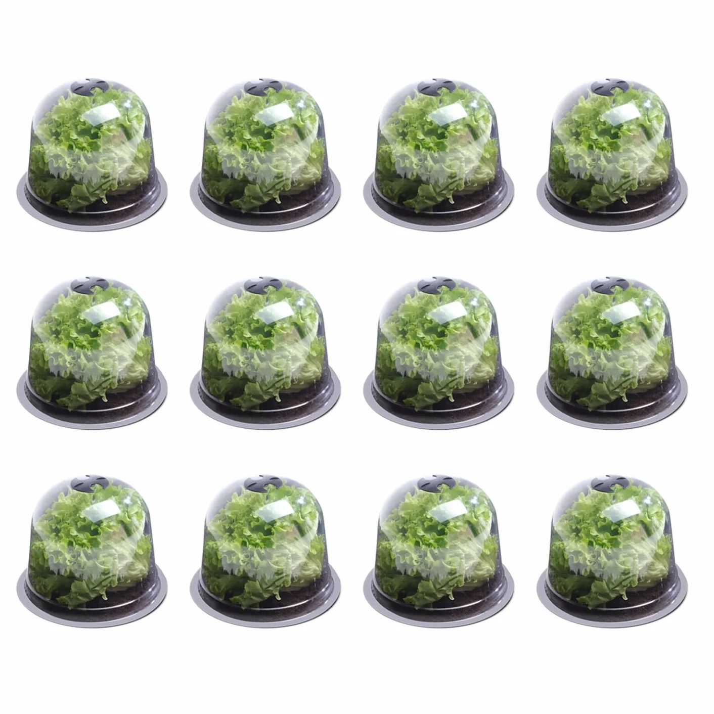 IDMarket - Campana para ensalada x12 invernadero para proteger las plántulas