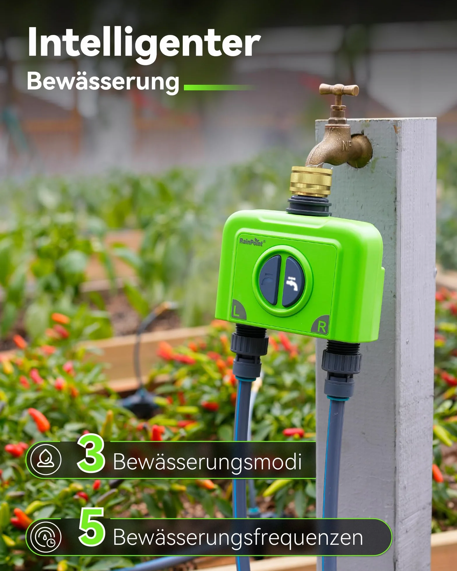 RAINPOINT Programador Riego WiFi 2 Salidas, Puerta Enlace Ethernet y Entrada de Latón, Riego Automatico para Jardín Via App/Voz Control, Riego Basado Clima, Retraso por Lluvia/Manual, 2x6 Horarios