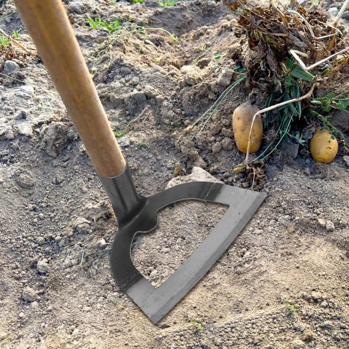 ABOOFAN 2 Piezas Cabeza de Azada Agrícola, Herramienta Desherbadora Manual Hueca de Acero Inoxidable, Diseño Clásico, para Aflojar la Tierra y Quitar el Césped