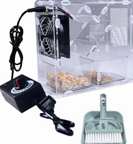 Limpiador eléctrico de semillas de grano con ventilador de velocidad ajustable, 2 graneros para un eficiente desgranado y cribado, desmontable para una fácil limpieza