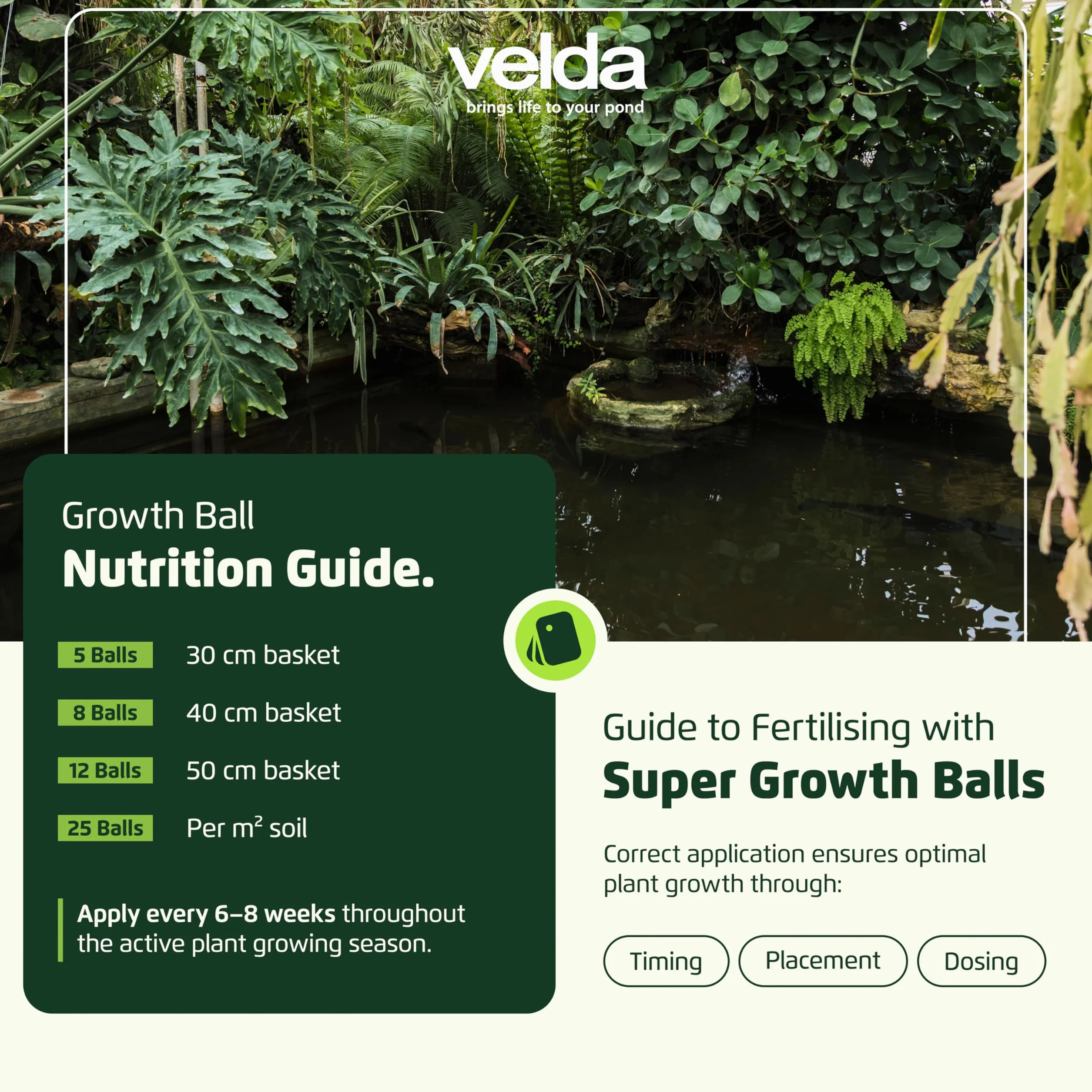 Velda 122256 Super Super abono de crecimiento para las plantas acuáticas, 55 bolas pelotas XL