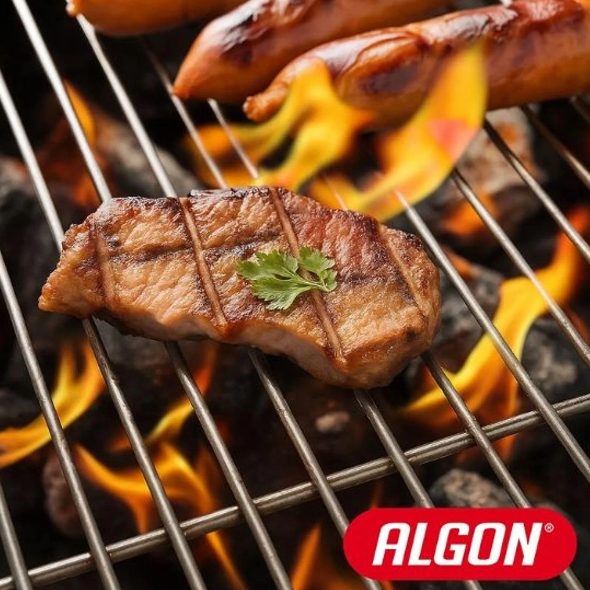 Algon | Parrilla Barbacoa 50x50 Grande Doble, Acero Inoxidable Zincado Gris Metalizado con Cierre de Seguridad - Parrilla Ideal para Asar Carnes y Verduras Resistente y Duradera para Exterior