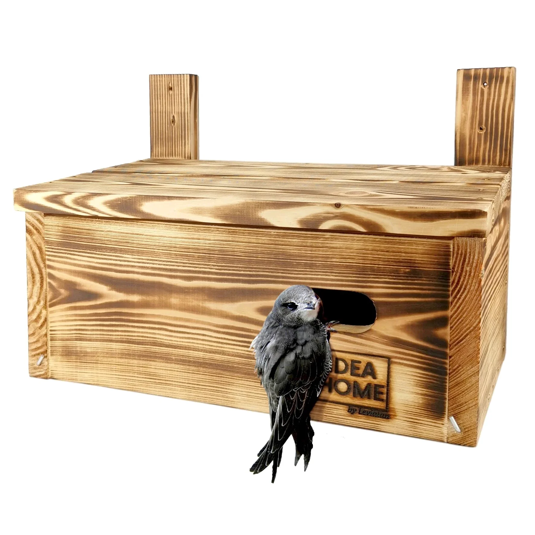 Leviatan APUS Caja Nido Maciza para Vencejos, Totalmente Retorcido, Casita para Pájaros para Jardín, Resistente a la Intemperie, sin Procesar, Listo para Usar, no Requiere Montaje
