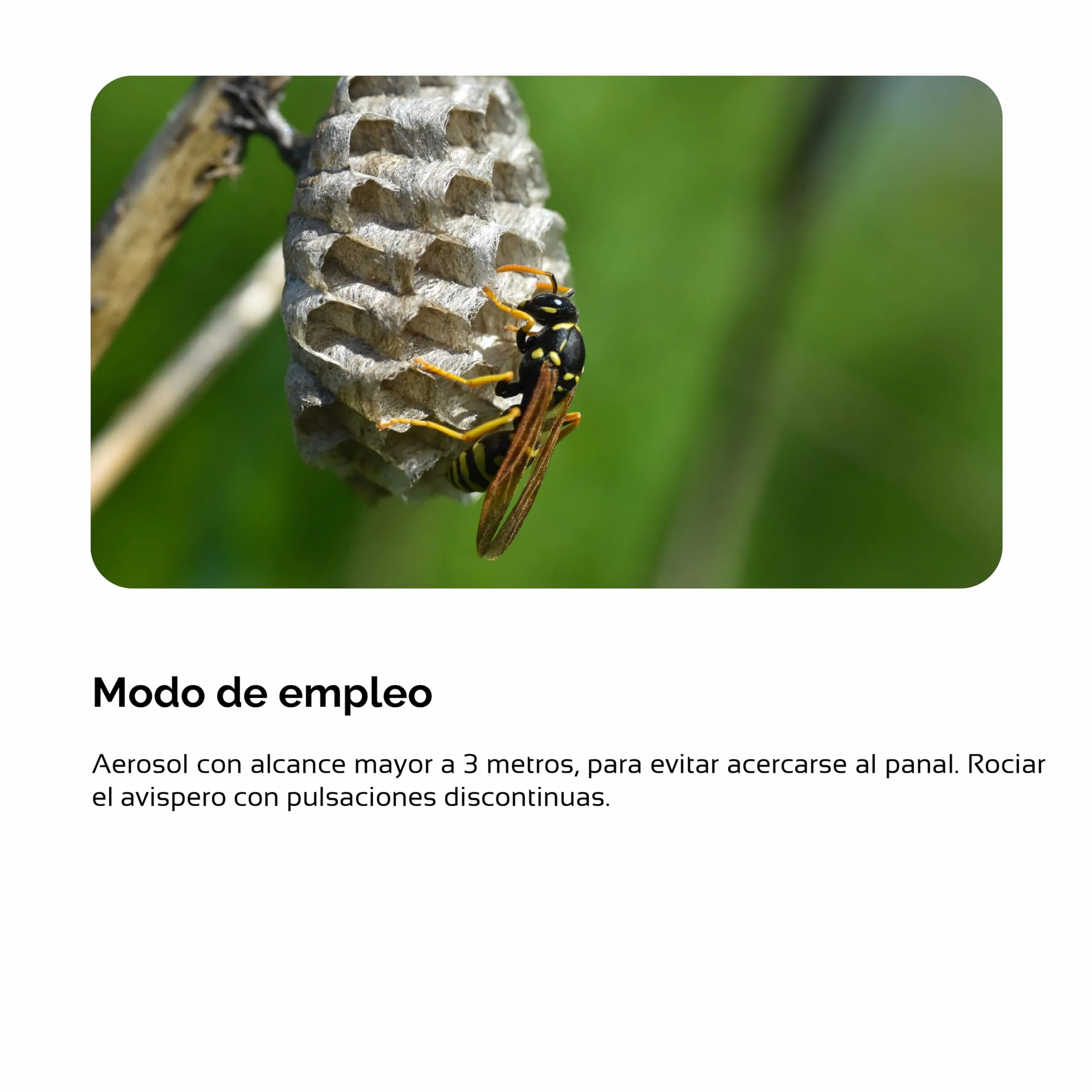 Insecticida contra avispas aerosol largo alcance | Zum-Kade Plus avispas | Formato 1 L