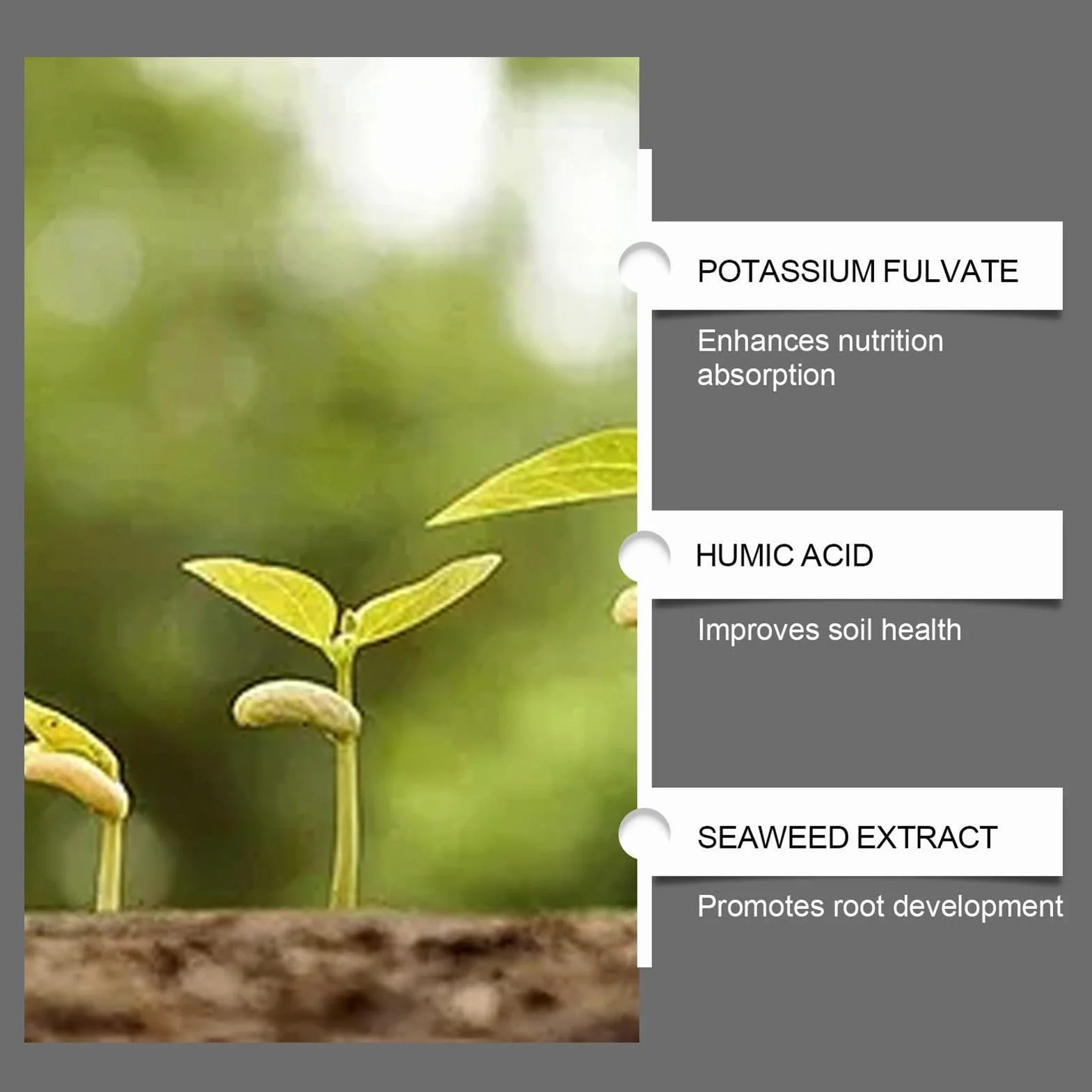 Activador De Suelo Para Plantas, Acondicionador De Suelo, Promueve El Crecimiento Las Raíces Para Jardín, Patios, Granjas, Patios Interiores, Balcones, Terrazas, Céspedes Y Jardines