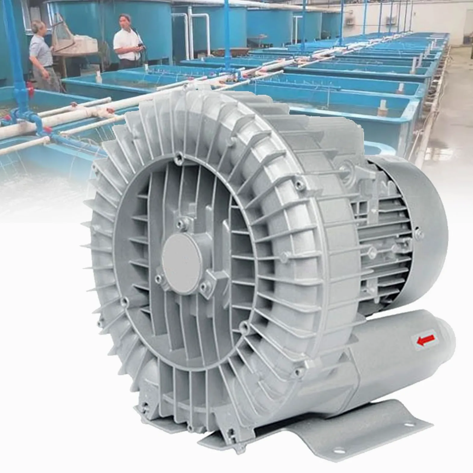 Genérico Soplador de Anillo de vórtice de Alta presión de 220 V/380 V, Bomba de vacío regenerativa para aireación de Aguas residuales, estanques de Peces de Acuario, 550 W, Bomba de Aire eficiente pa
