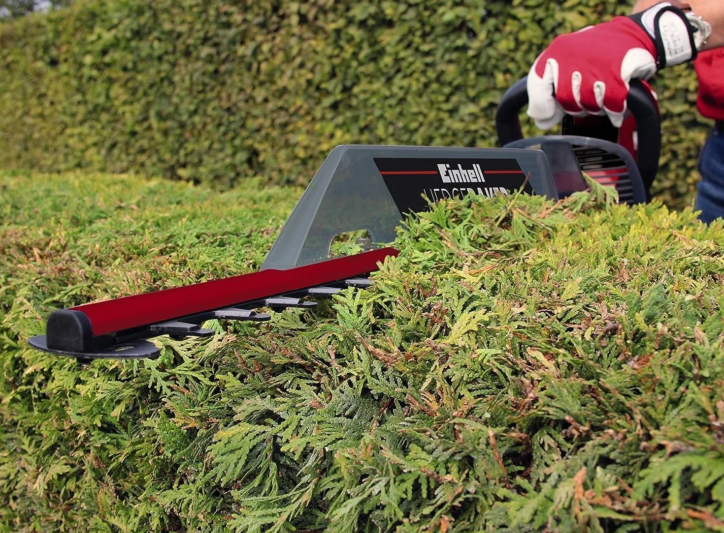 Einhell Recortasetos eléctrico con Cable - GE-Eh 6560 (240 V, 650 W, 50 Hz, Longitud de Corte: 600 mm, Longitud de la Hoja: 660 mm, Espacio Entre Dientes: 30 mm)