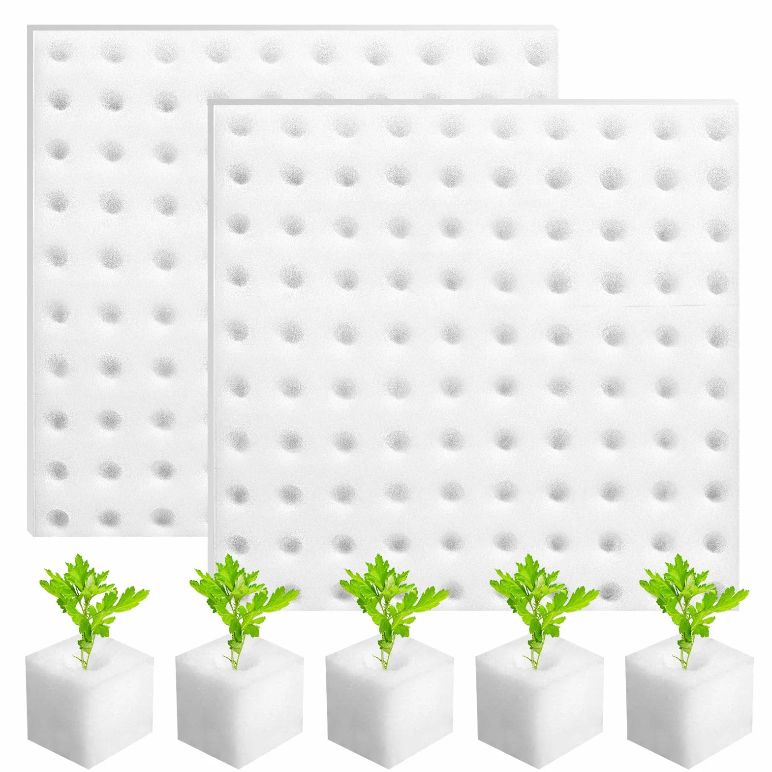 200 Piezas Esponja Hidropónica 25 * 25 * 25mm, Esponjas Plántulas Invernadero Plantar Herramientas de Jardinería Esponjas Cuadradas para Esquejes Agrícolas Siembra y Trasplante de Hortalizas(Blanco)