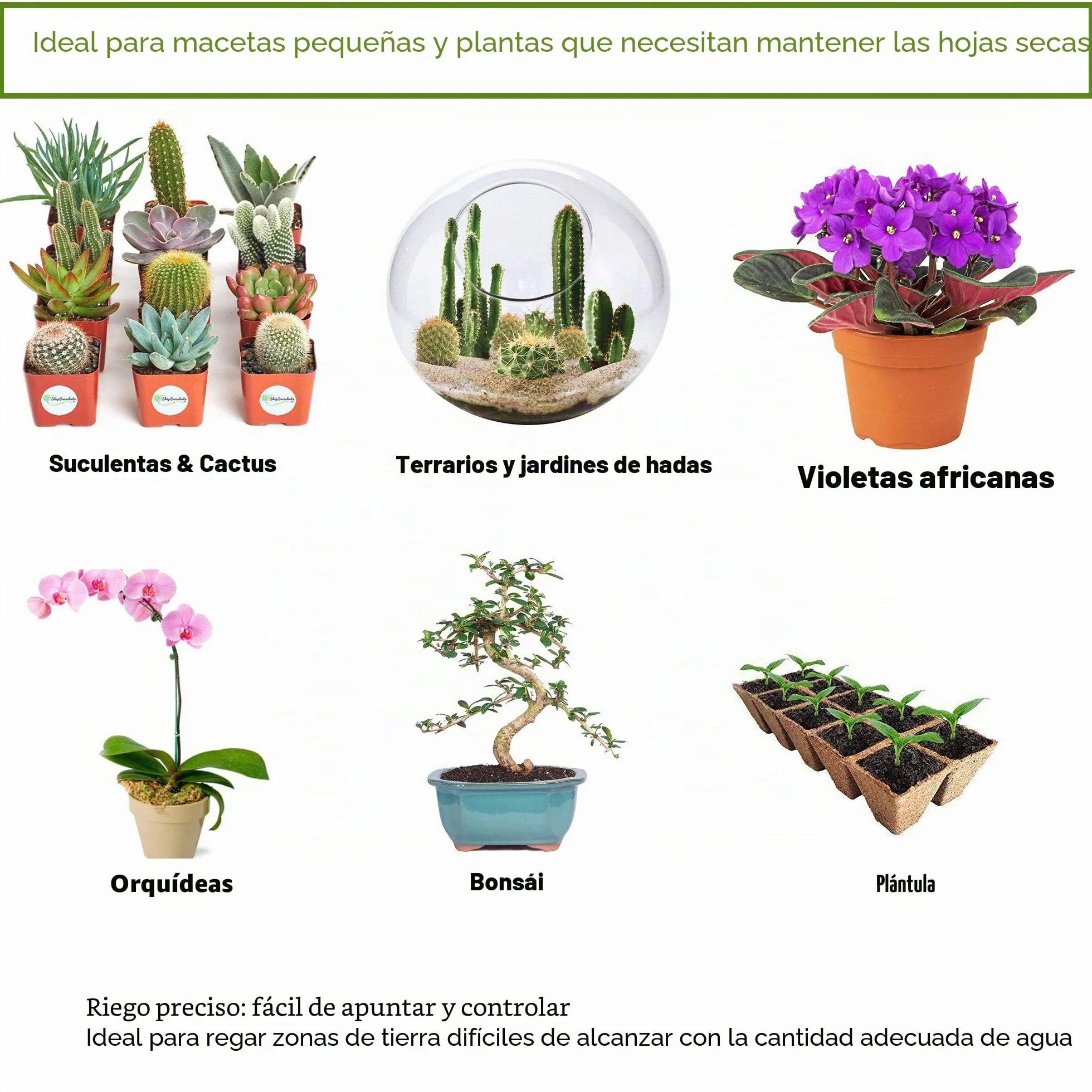 Botella de riego de 500 ml con junta tórica a prueba de fugas para plantas de interior suculentas cactus plástico apriete agua boquilla larga curvada boca regadera Bonsai Terrarium Orchids Seedling