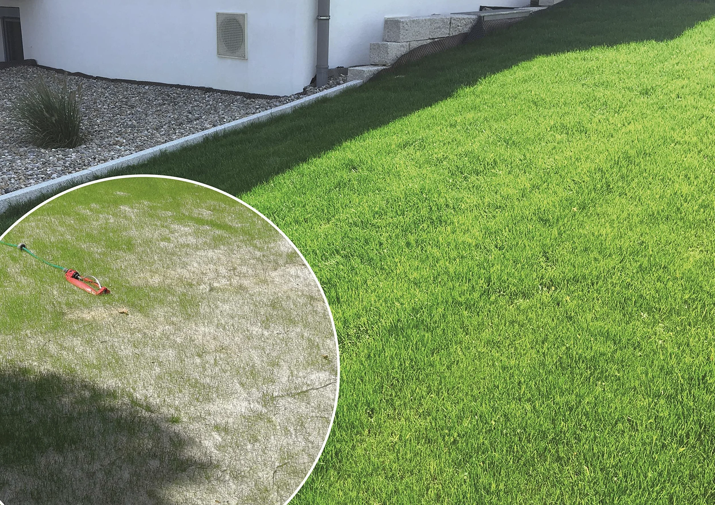Easygreen Wollrasen 12 m² esterilla de semillas de hierba 100% biodegradable
