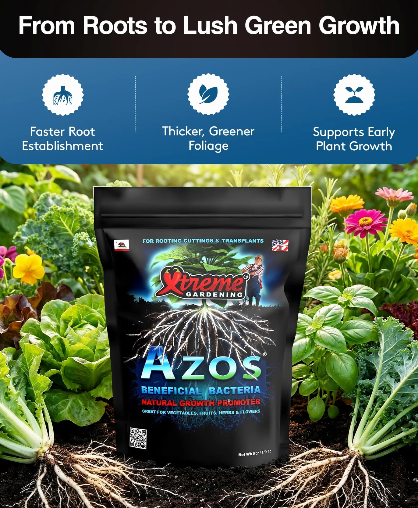 Xtreme Gardening Azos Bacterias beneficiosas, promotor de Crecimiento Natural, Bolsa de 6 onzas