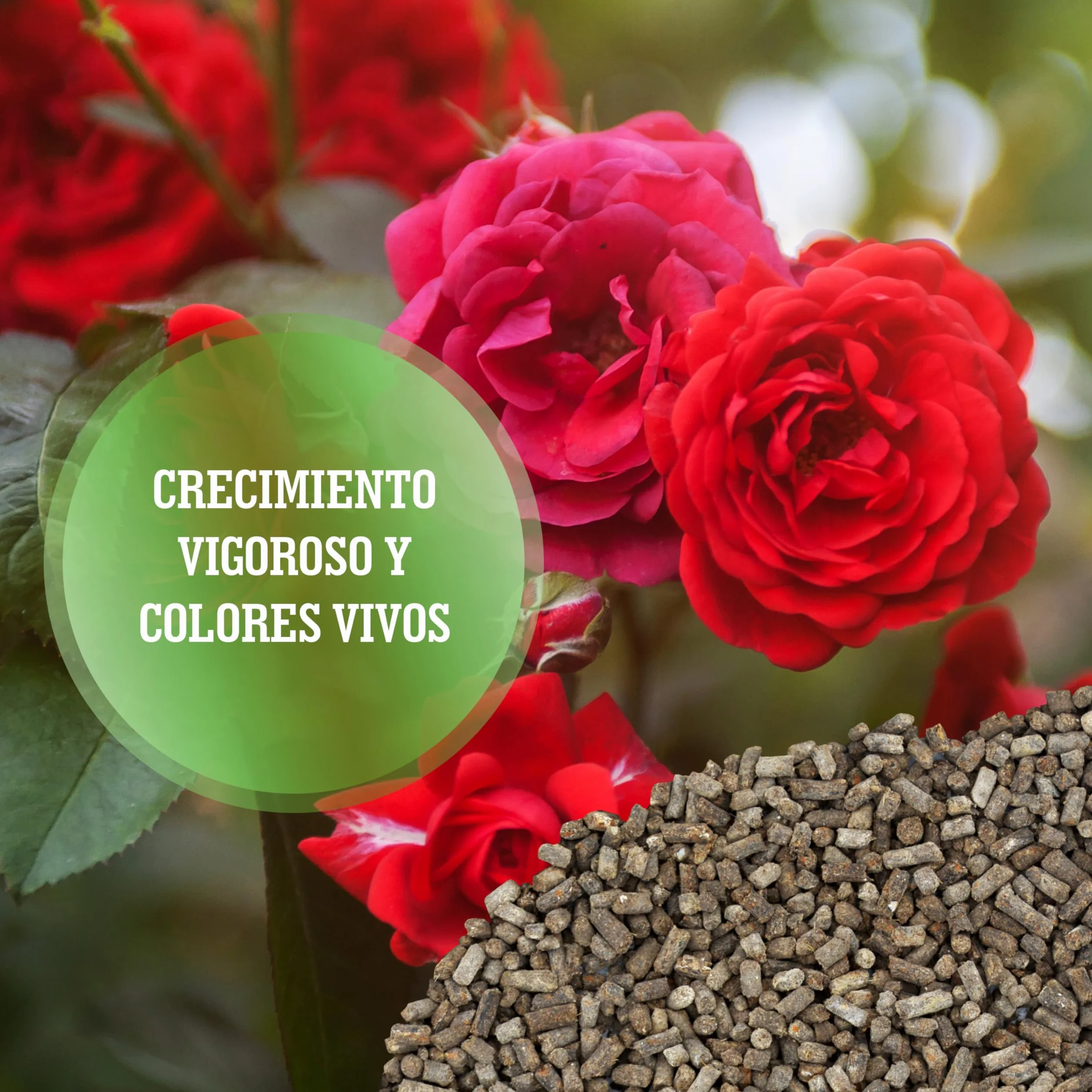 LERAVA® Abono rosales y plantas con flor - 2x800g con tapón dosificador - Crecimiento vigoroso y colores brillantes - fertilizante plantas de exterior o en maceta - abono orgánico 100% Made in Italy
