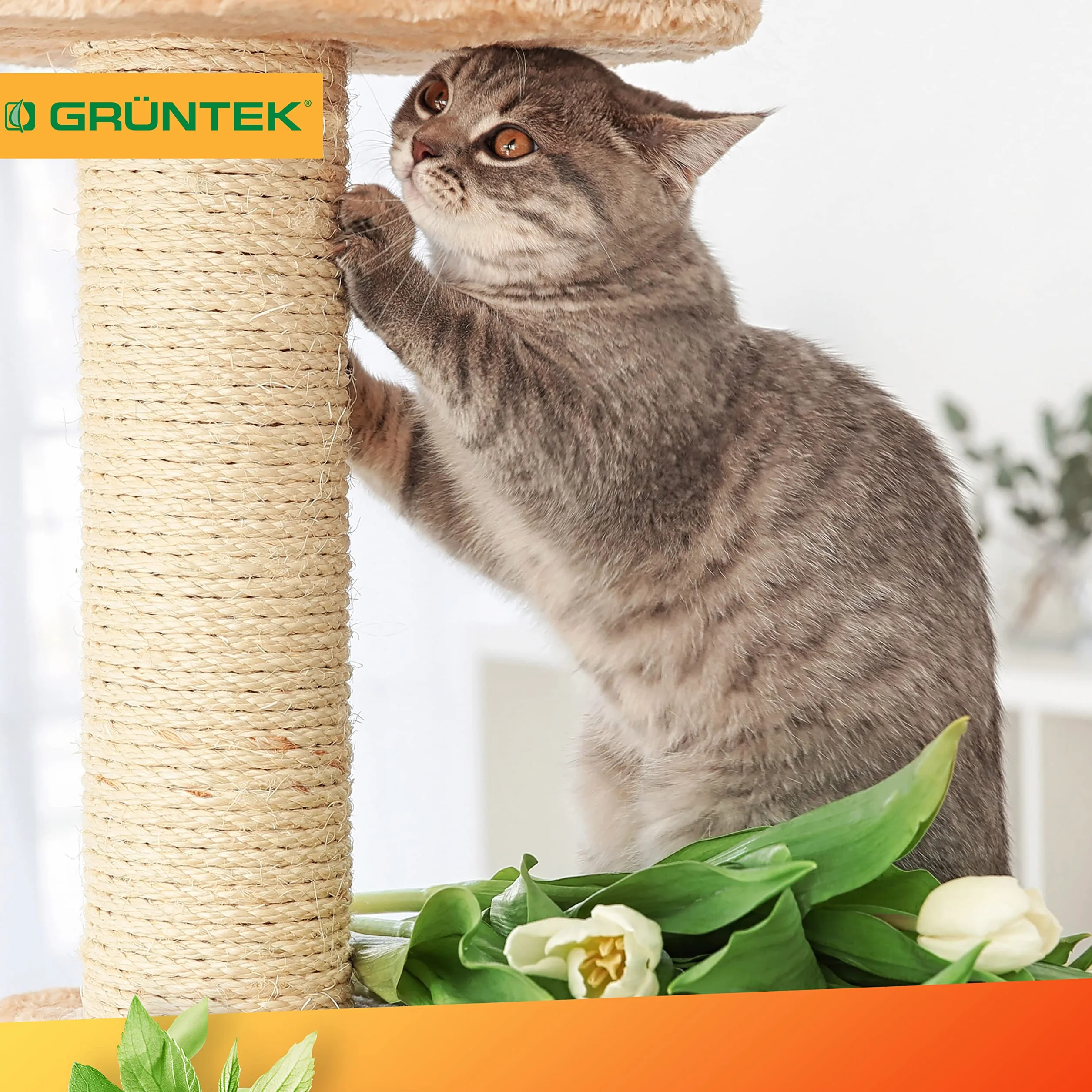 GRÜNTEK Cuerda de Yute Natural 6mm Cordel Sisal Rascador para Gatos 6mm x 1 Rollo 60 M - Cuerda Manualidades Hilo macramé para jardinería decoración Tarjetas de Regalo