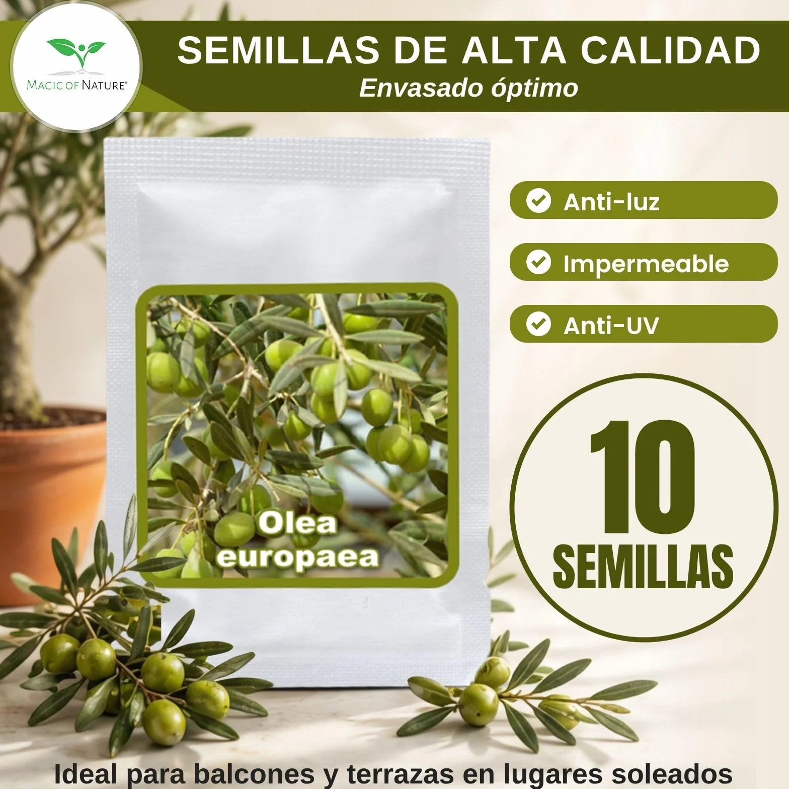 Magic of Nature Semillas de Olivo - 10 Ud. Olea europaea Olivo Mediterráneo para Jardín Balcón & Bonsái - Huesos de Árbol de Aceite Reales