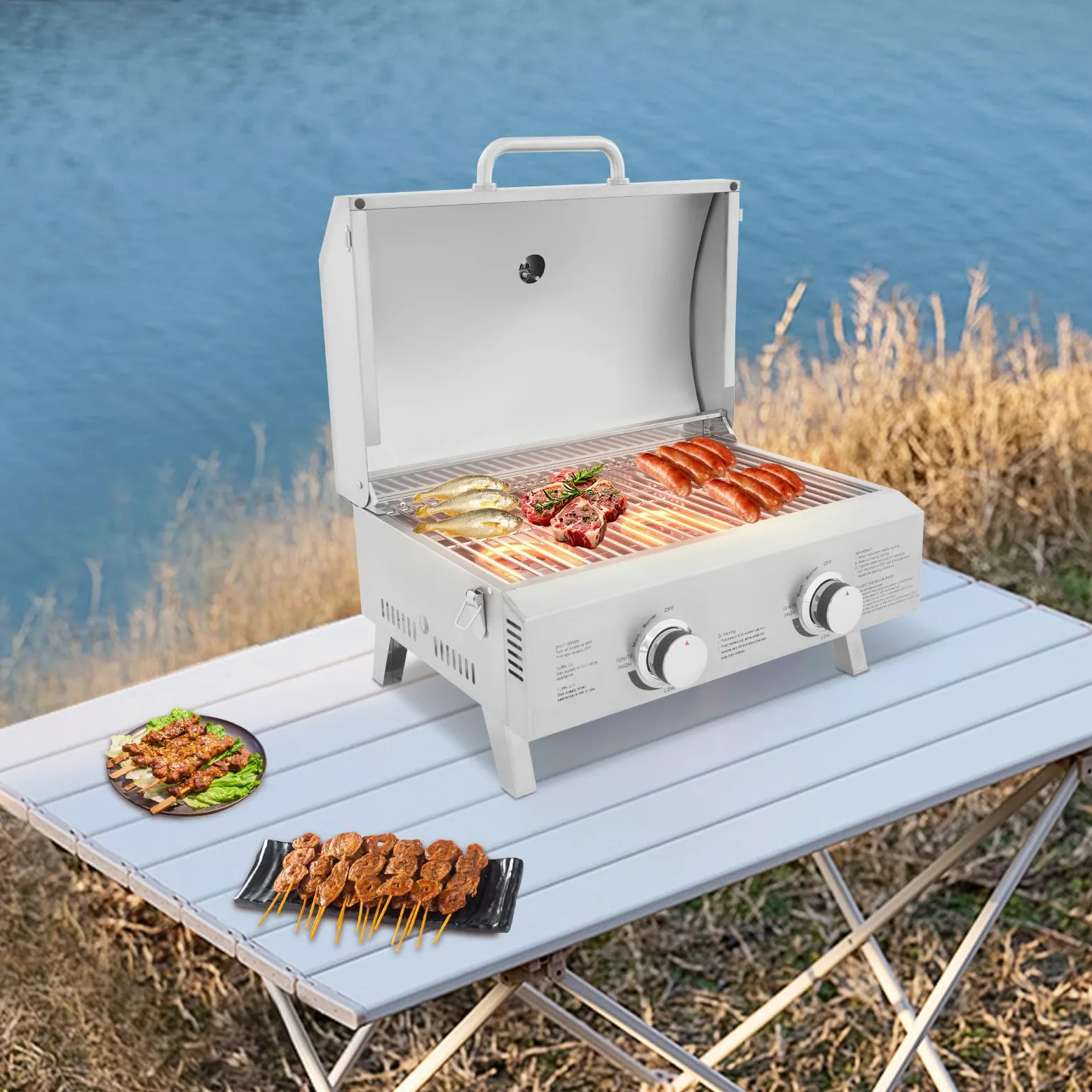 Barbacoa de gas portátil de 2 quemadores, parrilla de gas de mesa con parrilla, parrilla BBQ Barbacoa, parrilla de gas de acero inoxidable, parrilla de camping al aire libre, cocina de gas con