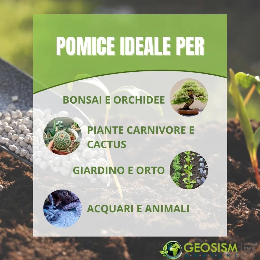 Geosism & Nature Arena pómez 0/3 mm (2 Bolsas de Aprox. 28 kg - 33 lt)