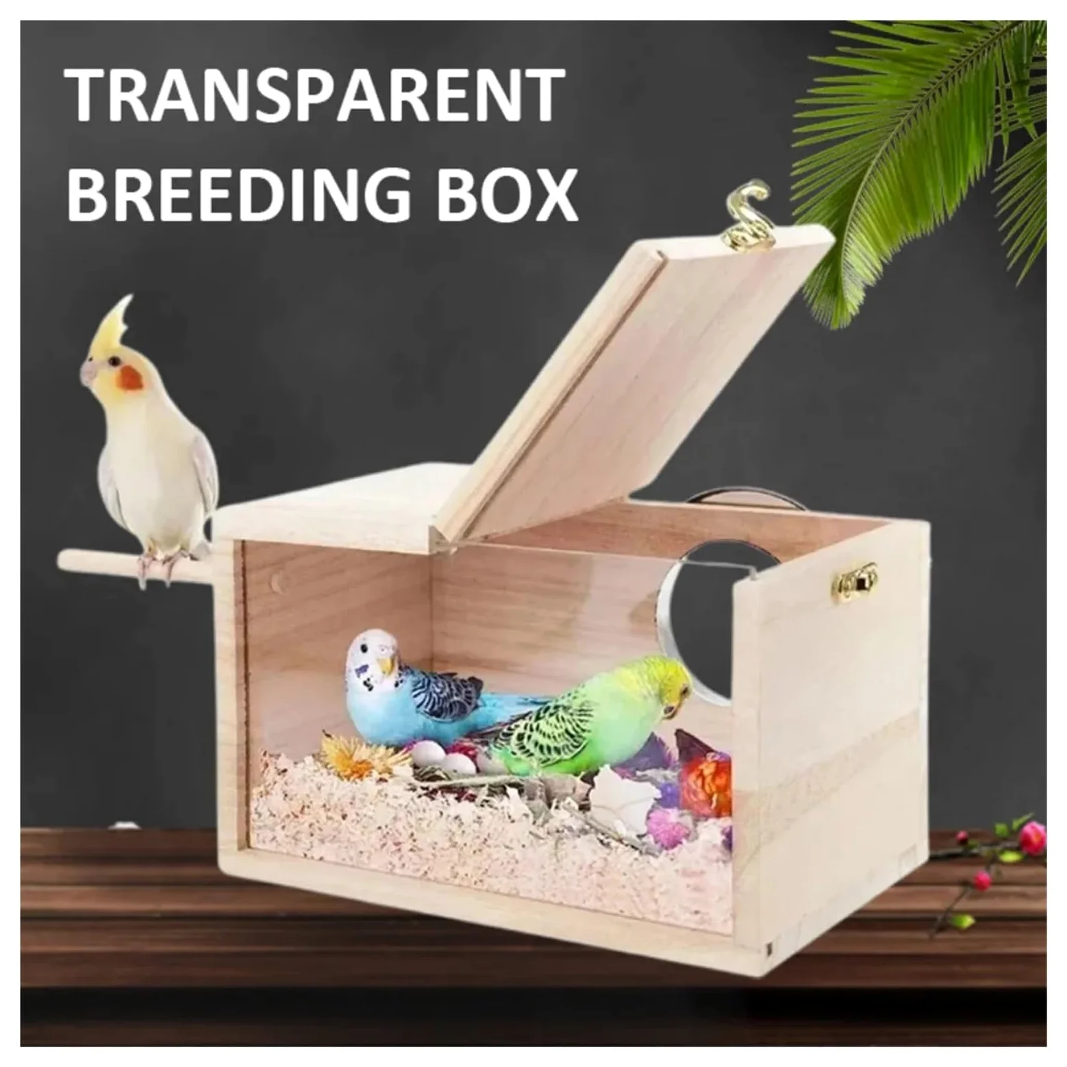 Nido de Madera para pájaros Nido for periquitos de Madera Maciza, diseño Transparente, fácil Limpiar, Bordes Lisos, Caja cría for pájaros(M)