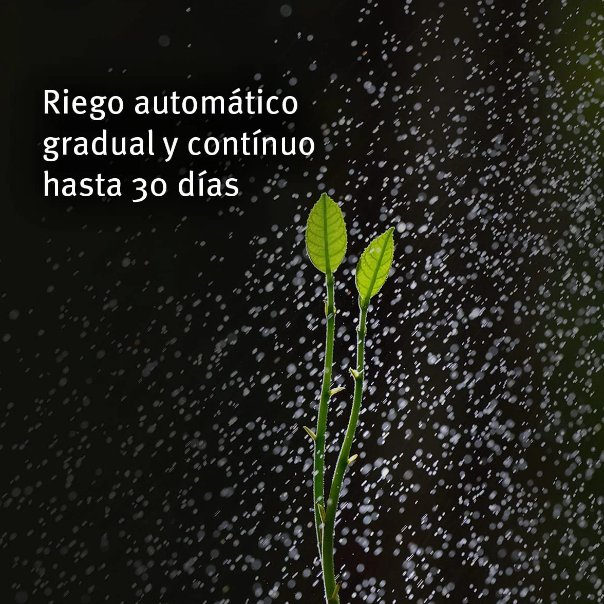 Aqua Control Biogel C2140, Agua Sólida para Tus Plantas, Ideal para Riego en Vacaciones, hasta 30 Días sin Regar, 400 ml