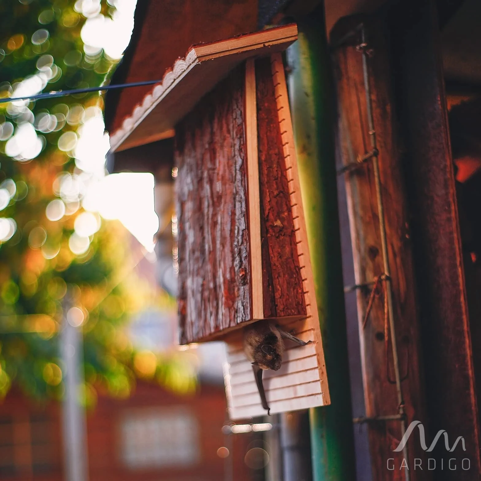Gardigo Casa para Murciélagos; Refugio Colores de Madera Natura, Hotel Casitas Nido para Murciélago