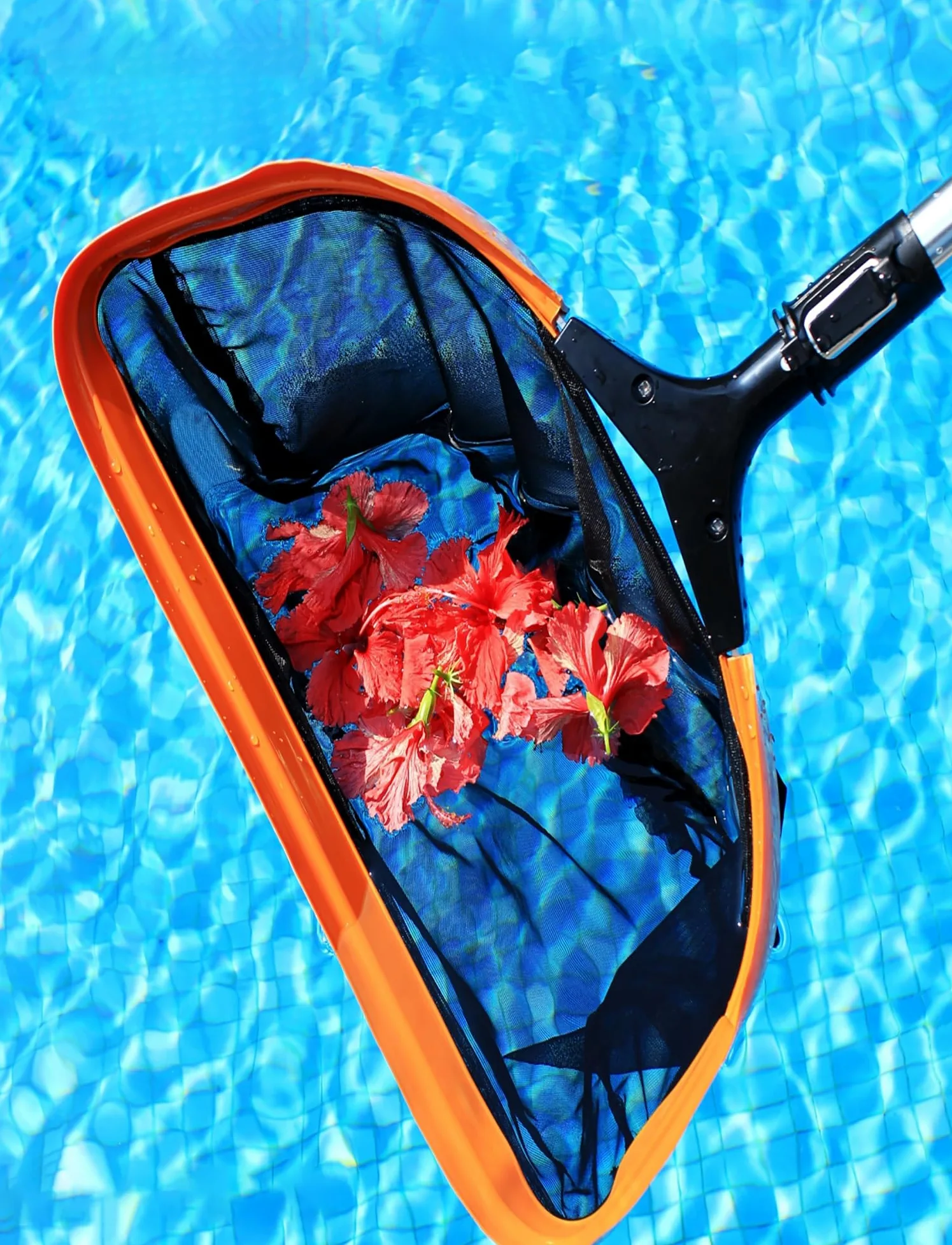Este rastrillo recogedor de Hojas para Piscinas de Alta Resistencia, con Mango telescópico Ajustable (de 1,2 a 3 Metros), Cesta Profunda, es Ideal para Piscinas y estanques enterrados o elev