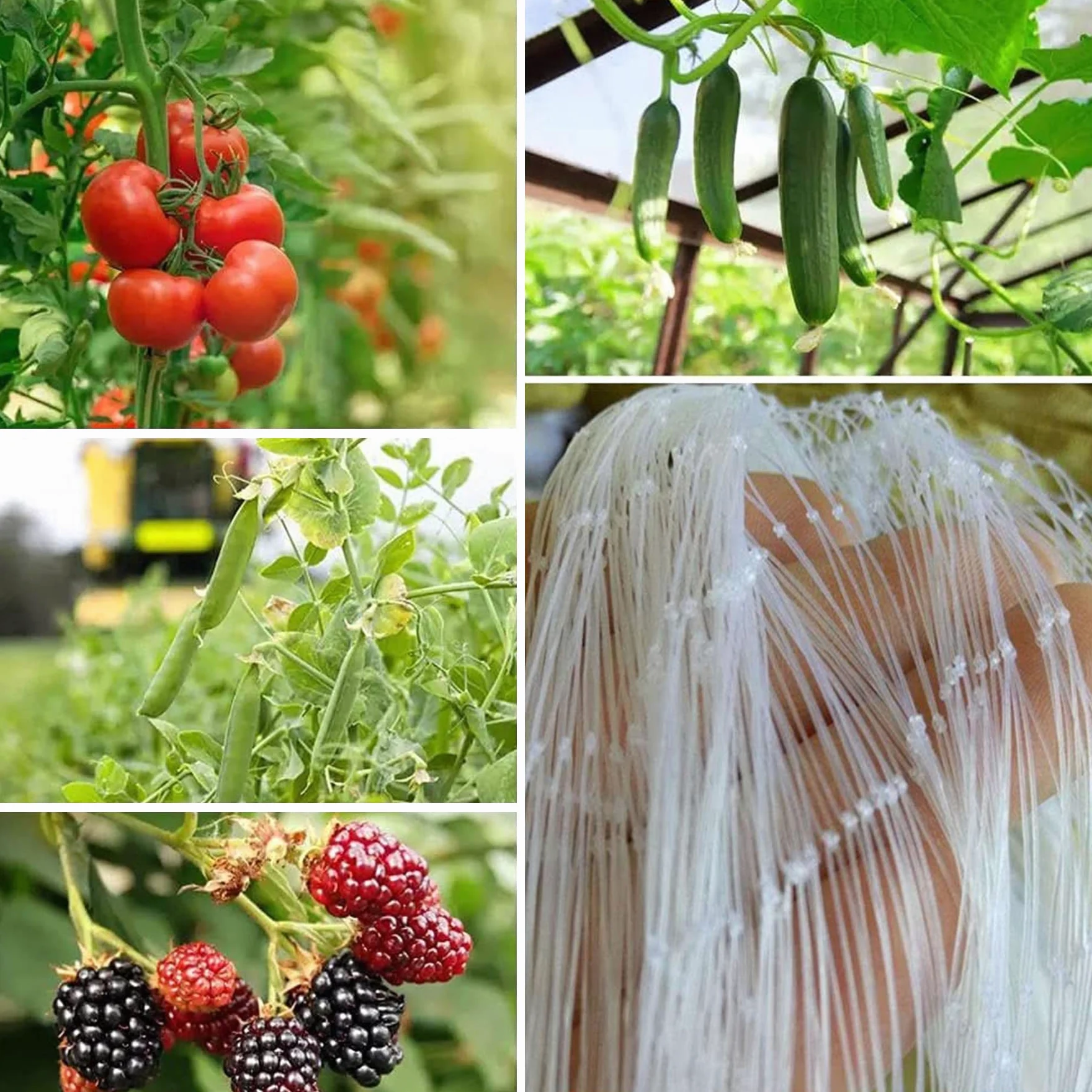 Malla Antipajaros, Red para Pájaros, Malla Antipájaros Red para Multiusos, Redes de Protección para Jardín Arboles Frutales Plantas Verduras(Size:7m x 30m)