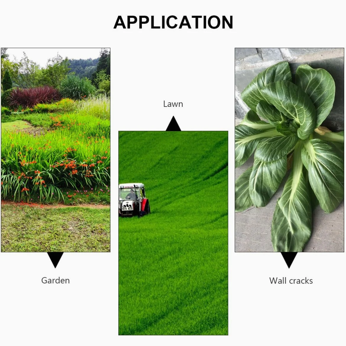 Herramienta Manual para Desherbar Jardín de Acero Extensible | Plata, para Grietas de Muro y Piedras, Uso en Jardinería, Taladro de Mango Largo