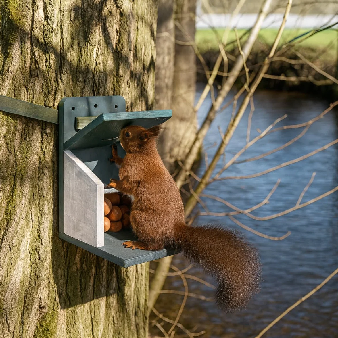 Comedero para ardillas resistente a la intemperie, muy estable y seguro | hecho a mano de producción propia en la Selva Negra | Sistema de ventilación para alimento seco para ardillas