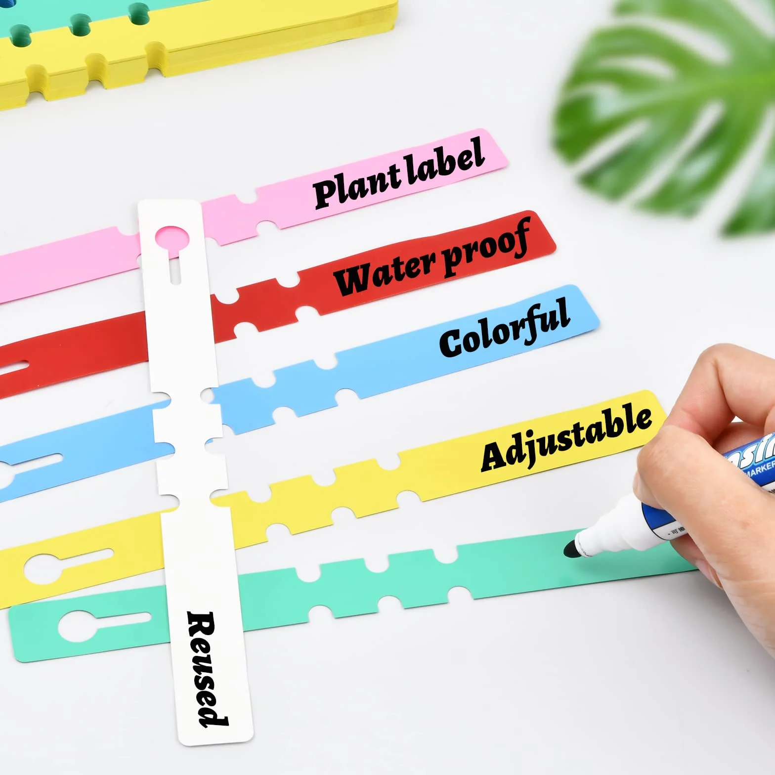 Etiquetas de Plástico para Plantas 300 Piezas, Etiquetas de Jardín Marcadores para Plantas Etiquetas Grandes para Árboles para Viveros Semillas Huerto