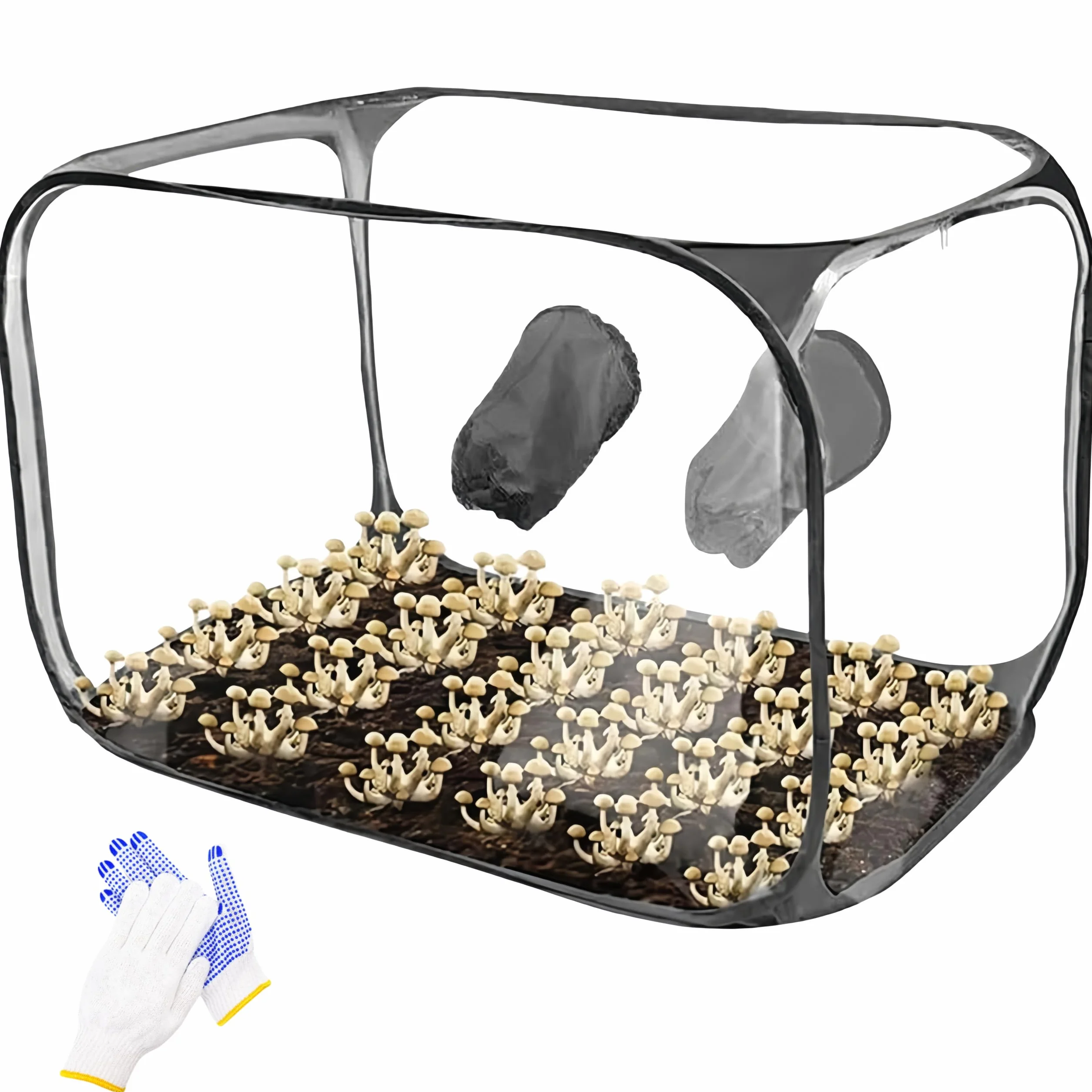 Kit de cultivo de hongos plegable, caja de aire silenciosa, 85 x 52 x 52 cm, tienda de cultivo de hongos transparente, kit de micología pop-up portátil para intercambio de aire fresco | cultivo de