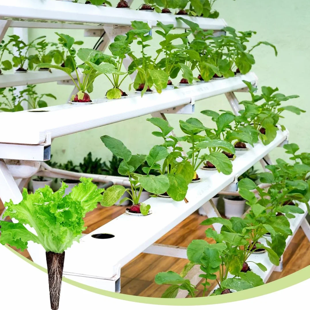 20 piezas esponjas de repuesto, cápsulas de semillas de inicio, crecimiento de raíces, compatible con sistema hidropónico, esponjas de inicio de siembra para hidropónico en interiores