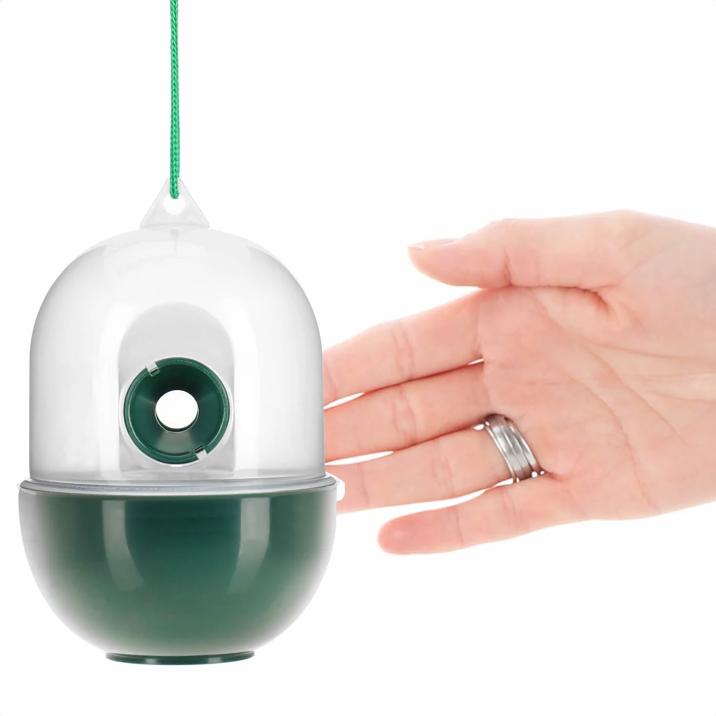 COM-FOUR® Trampa para Insectos 4X - Trampa Viva para Colgar - Protección contra Insectos para Exteriores respetuosa con los Animales - Atrapa Insectos de plástico (04 Piezas - Transparente 12cm)