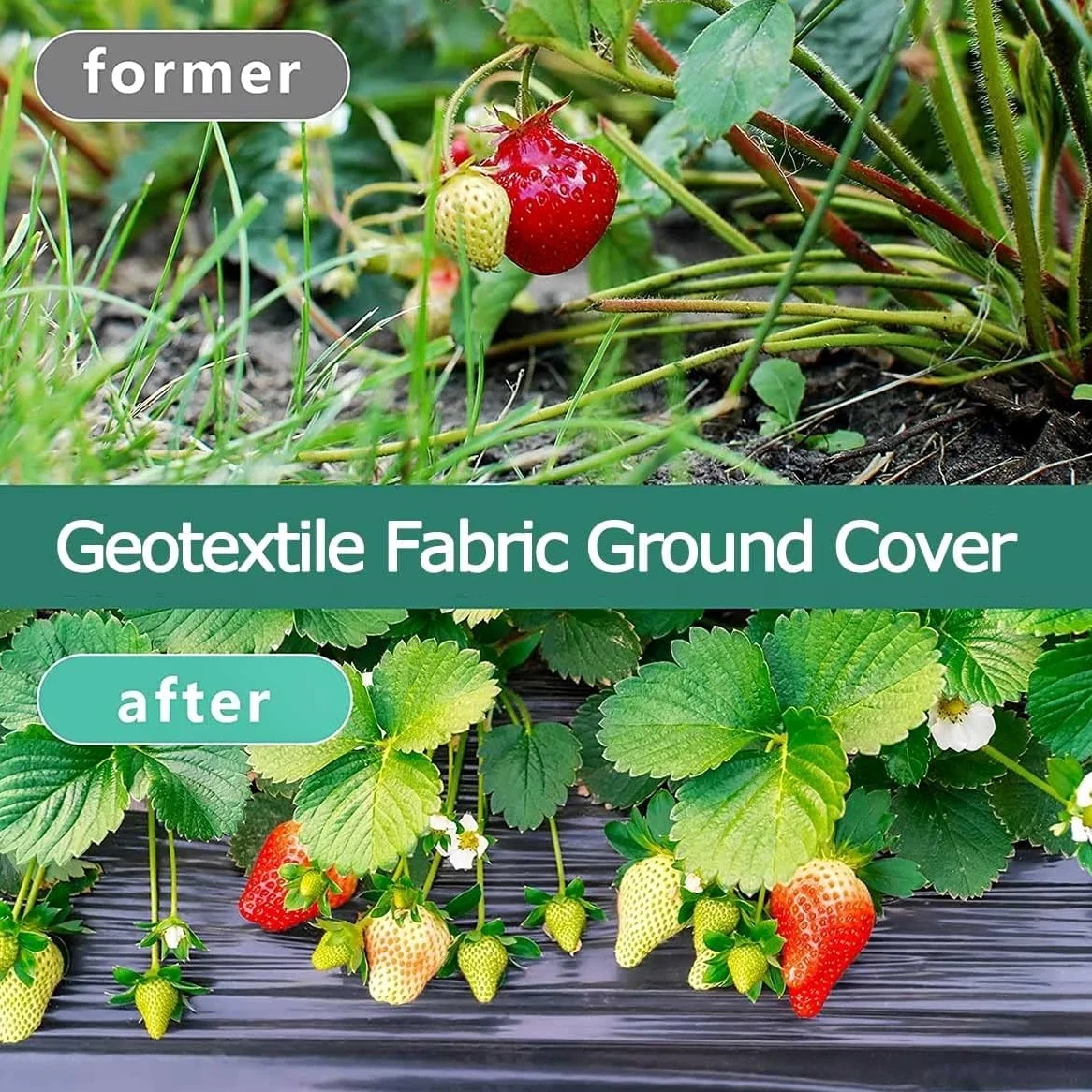 EPANO LXXW Malla Antihierbas Geotextil de la Tela del Paisaje de la Cubierta del Suelo del Control de Malas Hierbas del jardín for Cultivar un huerto, cultivando, Agricultura(1.52x15m/5x50ft)