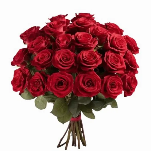 DECOALIVE - Ramo de Rosas - Set 25 Flores Rojas - Bouquet de Flores Naturales - Flores Frescas Online