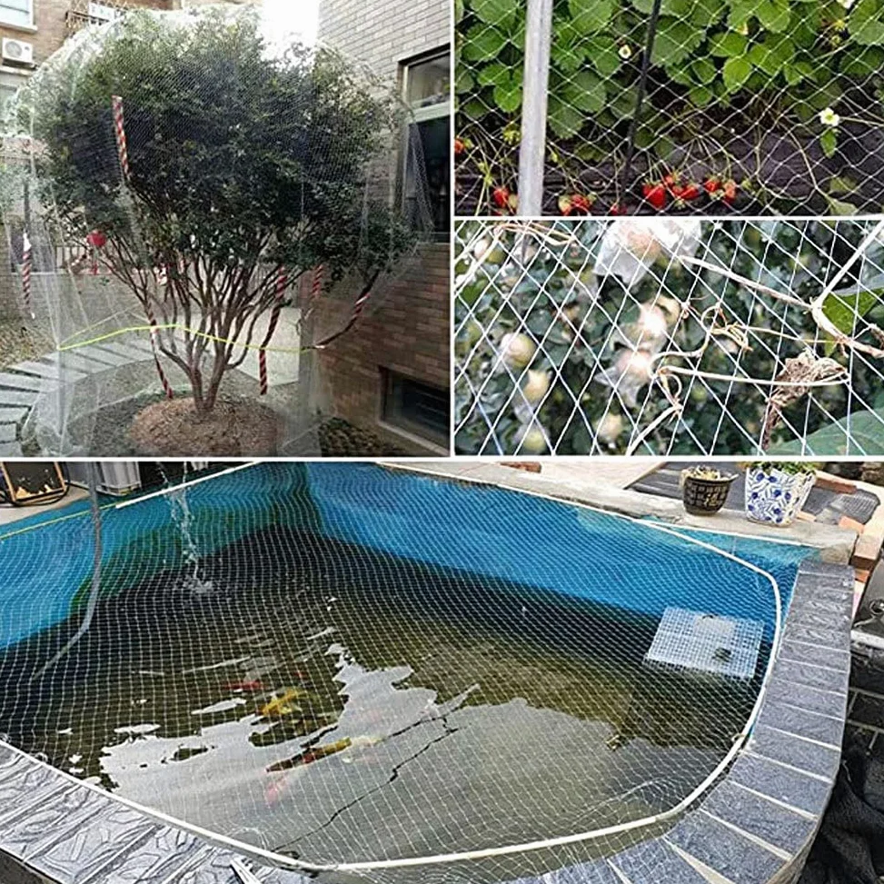 Red de jardín para pájaros para árboles frutales y arbustos, red para balcón, palomas, red anti pájaros para plantas, malla translúcida (2,5 cm x 3 m x 5 m)